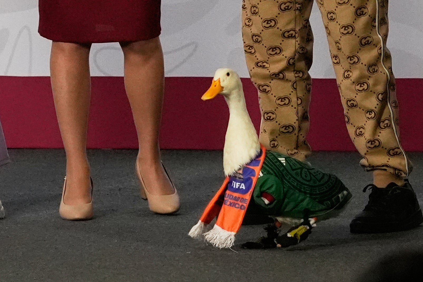 Merlin, the pet duck in a mini Mexico shirt has become a viral sensation