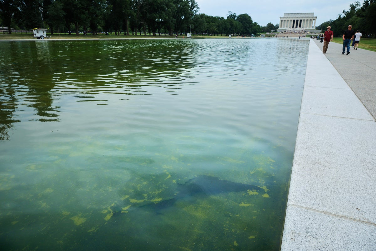 Trump claims he will sue ABC over Reflecting Pool renovations report: ‘I like their money’ – UK Times Trump claims he will sue ABC over Reflecting Pool renovations report: ‘I like their money’ – UK Times