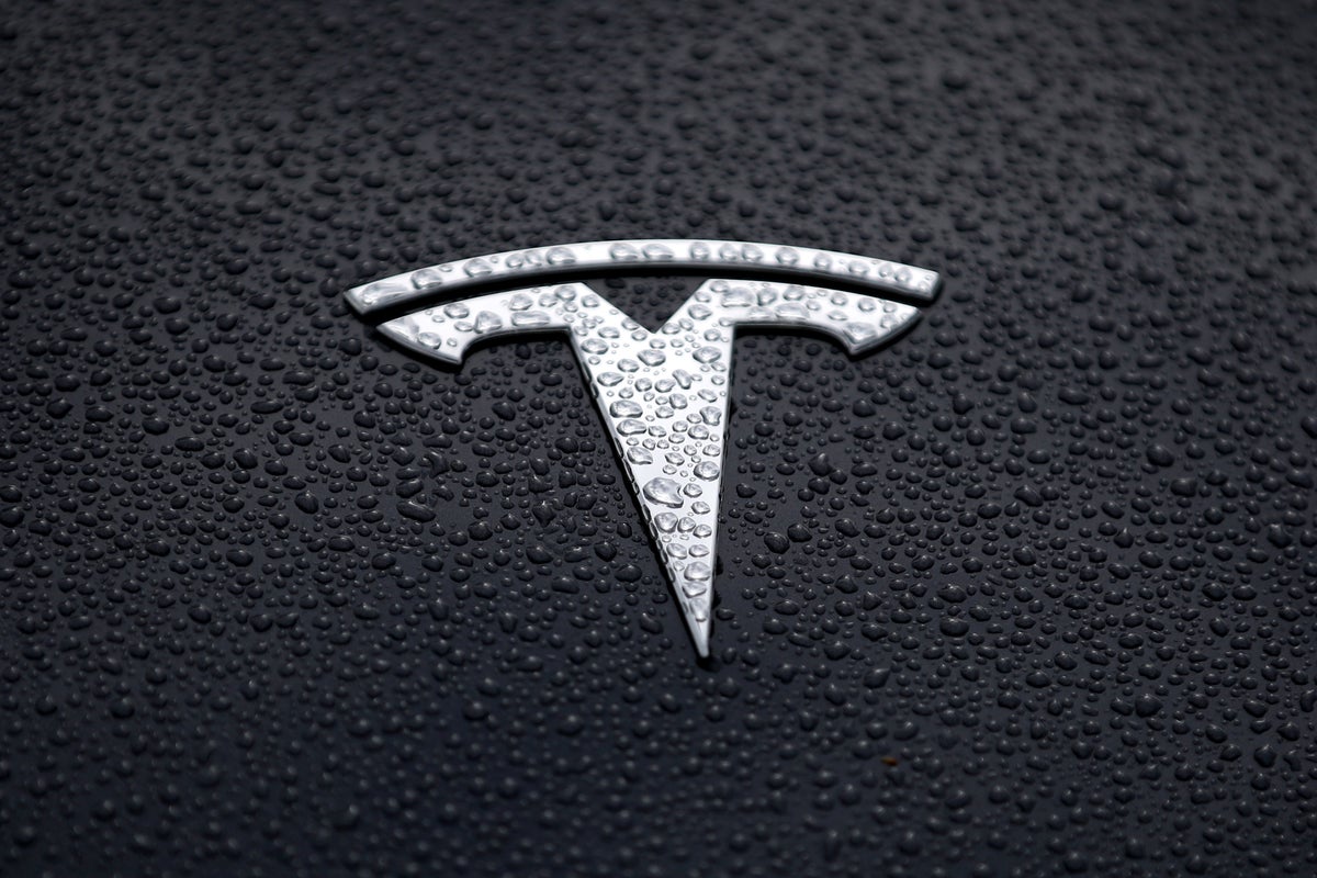 Cankurtaran, Tesla'sını yanlışlıkla topluluk havuzuna süren adamı kurtardı