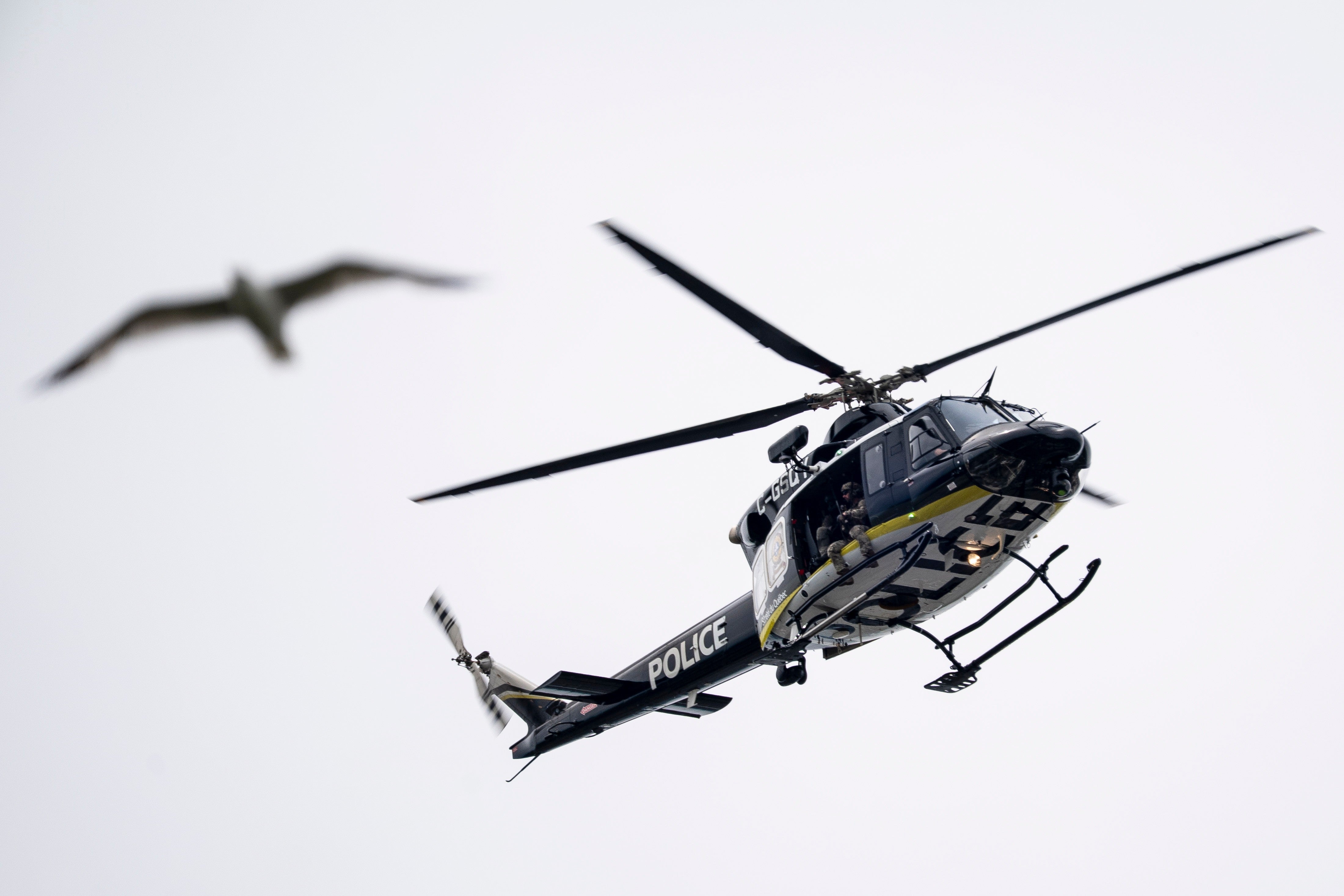 Canada_Police_Shots_32691.jpg