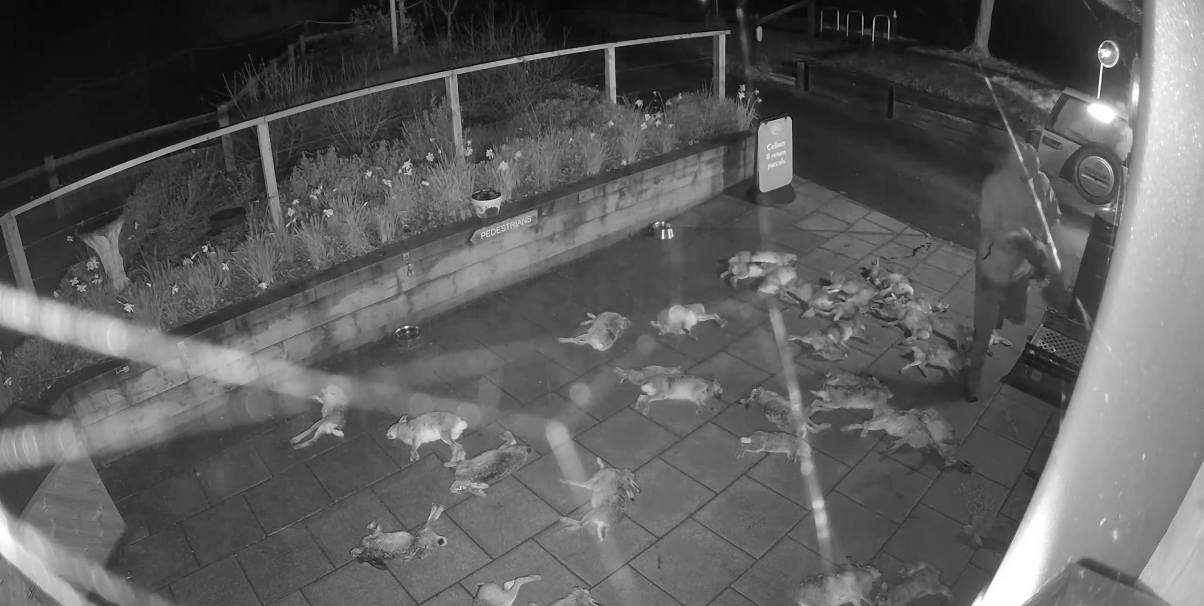 James Kempster and an unknown person dumped dozens of hares outside Broughton Community Shop before he stuffed  barn owl and kestrel under the door handles (CPS)