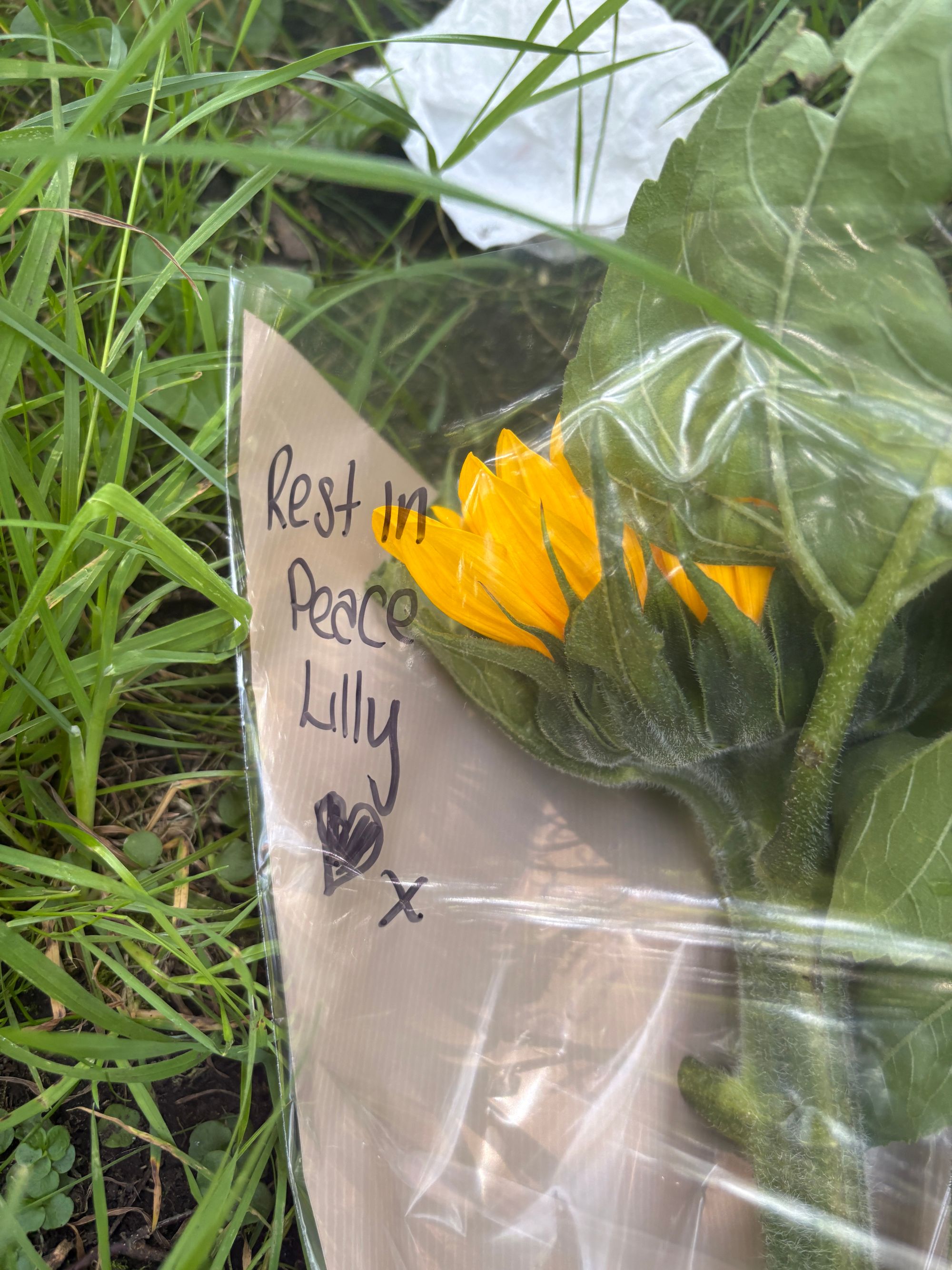 Floral tributes left near Pilgrims Park in Blaina, Gwent, following the discovery of missing 14-year-old Lilly on Monday night
