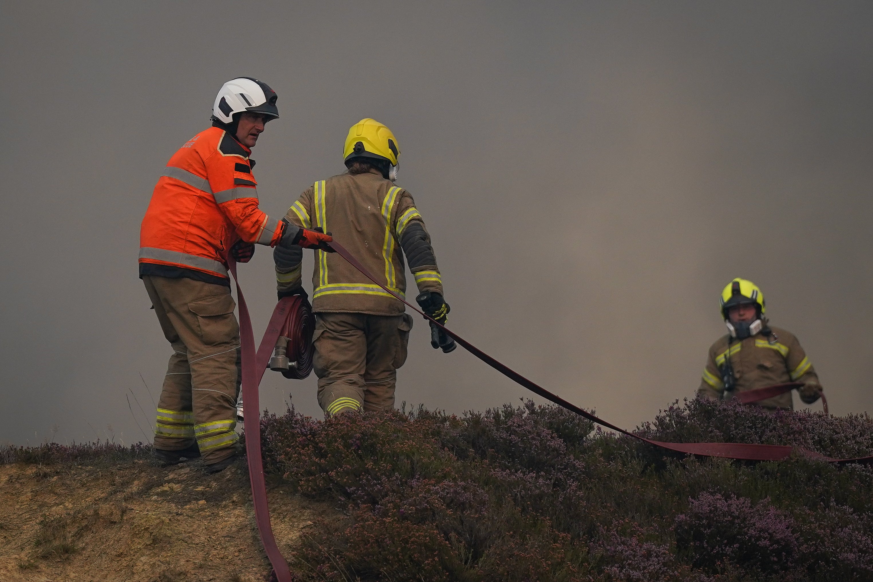 Extreme scenarios ‘could challenge our capabilities and our capacity,’ Forestry Commission advisor Rob Gazzard said