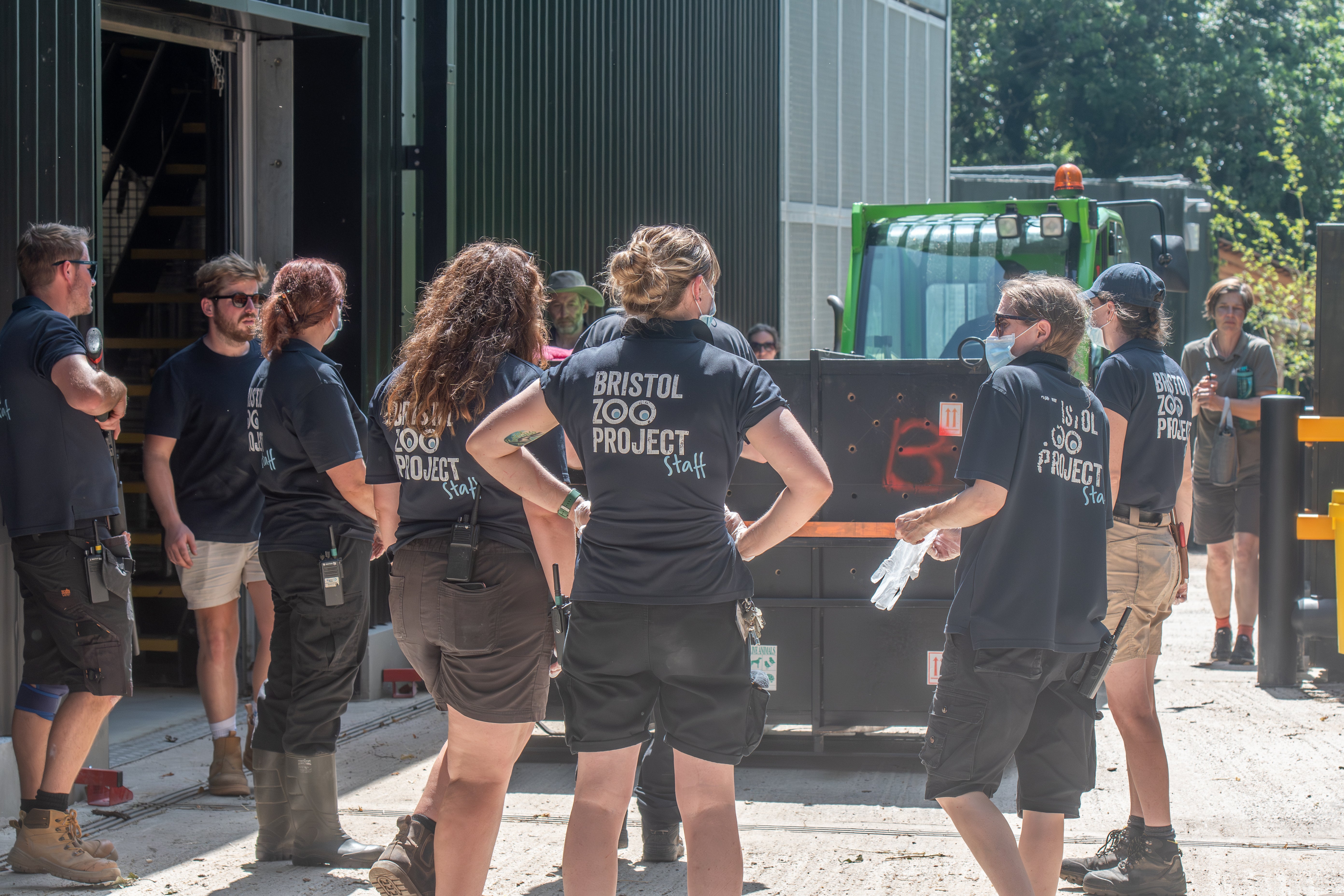 Transporting a 180kg silverback gorilla from Kent to his new home at Bristol Zoo Project required months of careful planning