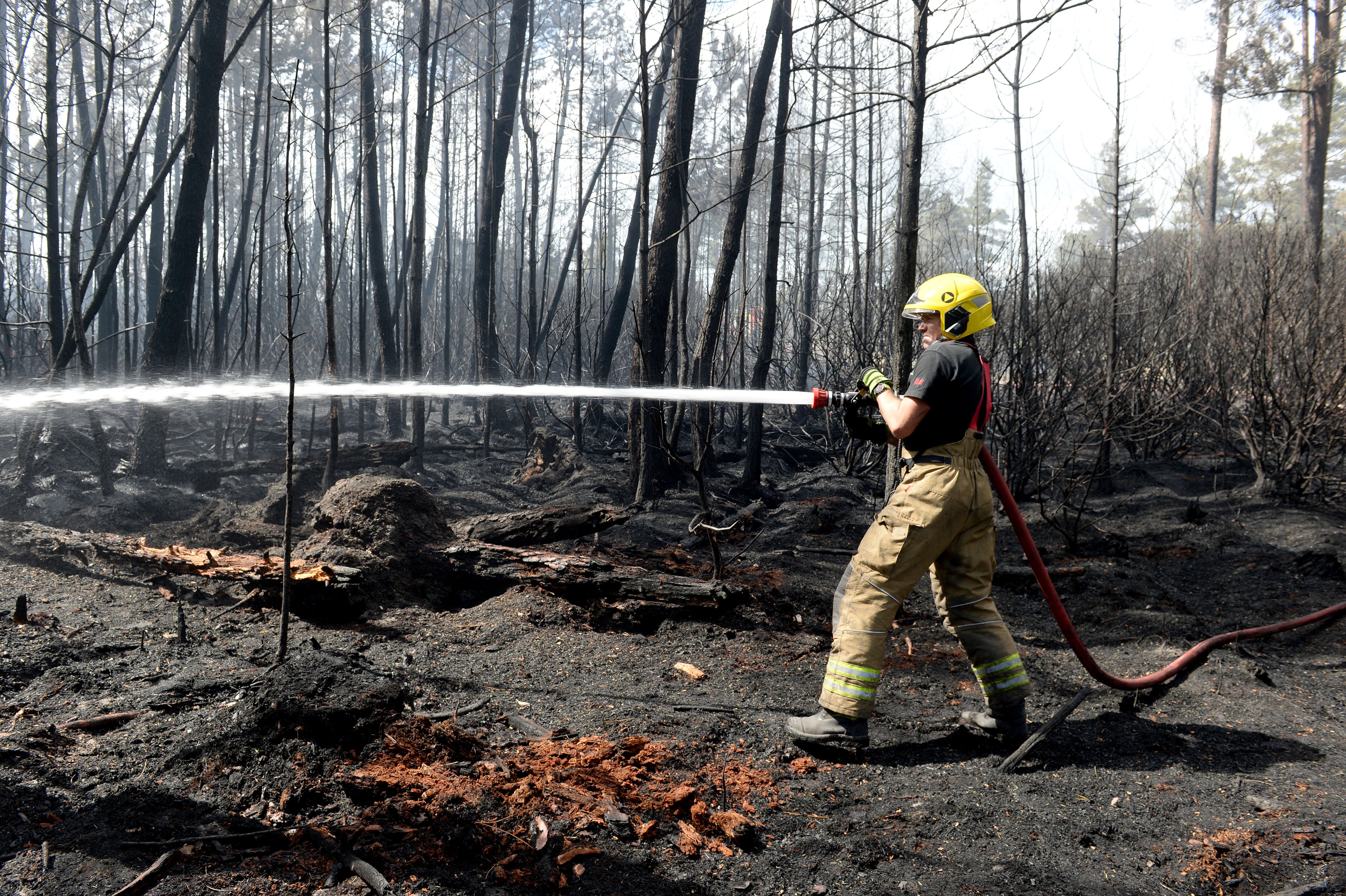 &lsquo;Mediterranean-style fire weather&rsquo; threatens England&rsquo;s forests amid extreme heat warning