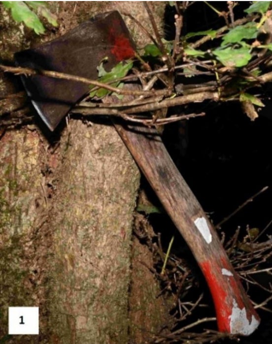 A photo issued by Devon and Cornwall Police of an axe found during police searches of the woodland near Sticker (Devon and Cornwall Police)