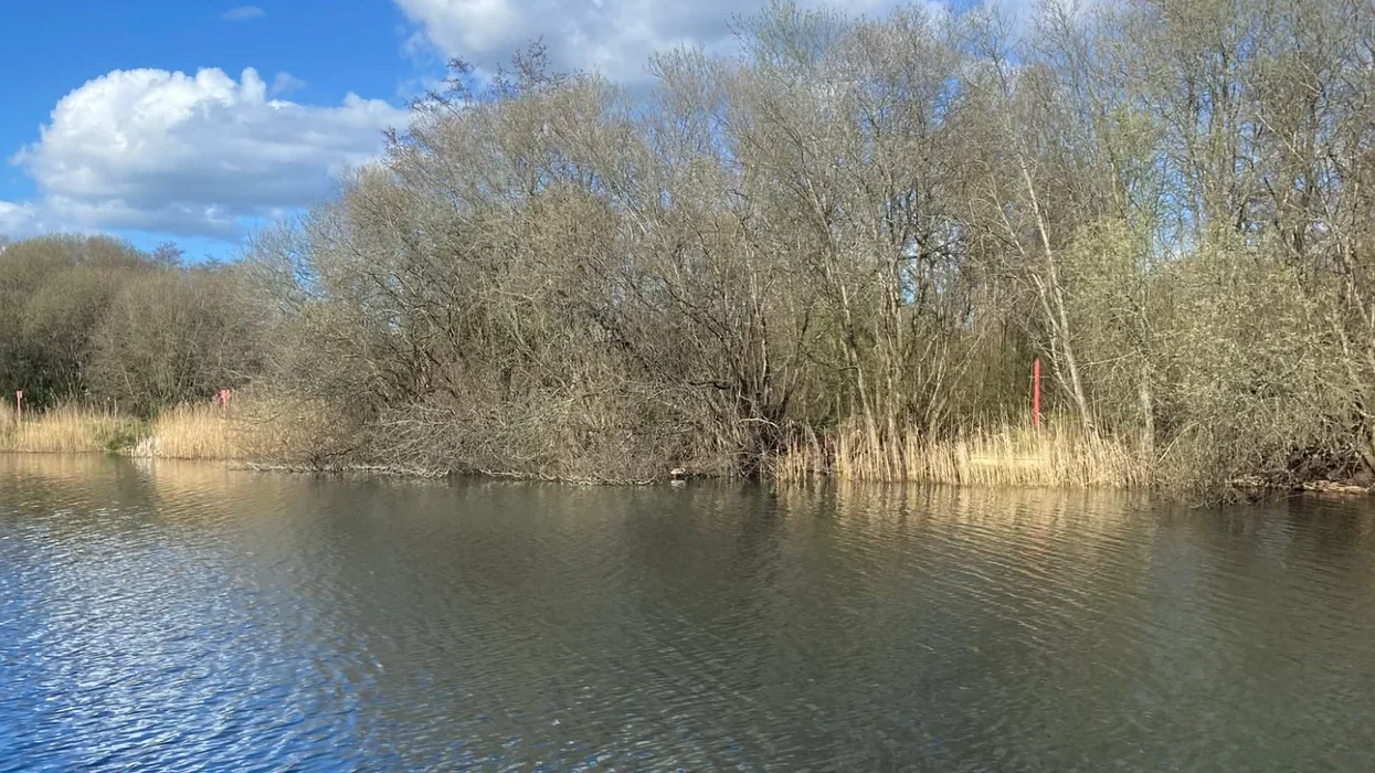 Emergency services launch search operation after boy, 15, goes missing while swimming in lake