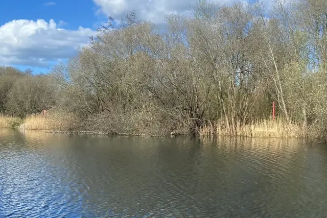 Police launch search after teen goes missing while swimming in lake