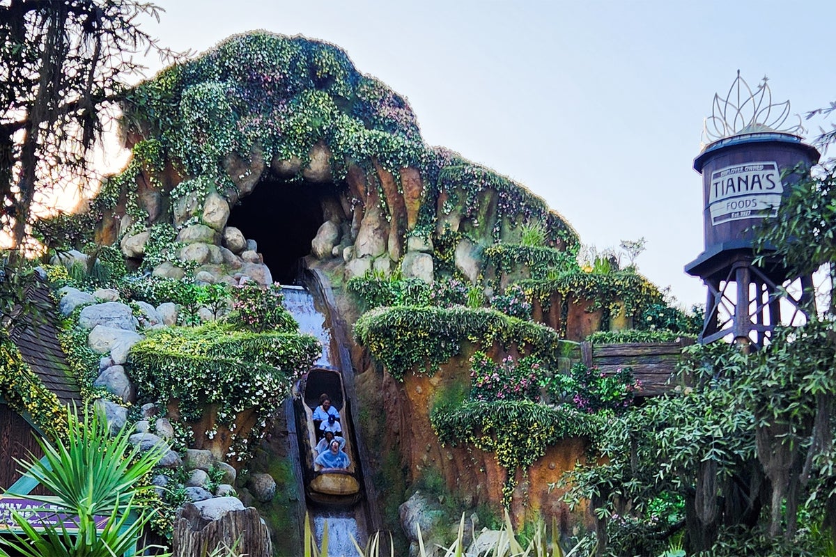 Rapora göre, Disneyland personeli, 13 yaşındaki çocuğun sürüşün ortasında dışarı çıkıp 15 metrelik bir düşüşten aşağı kaymasının ardından kütük kanallarını durdurmak için acele ediyor