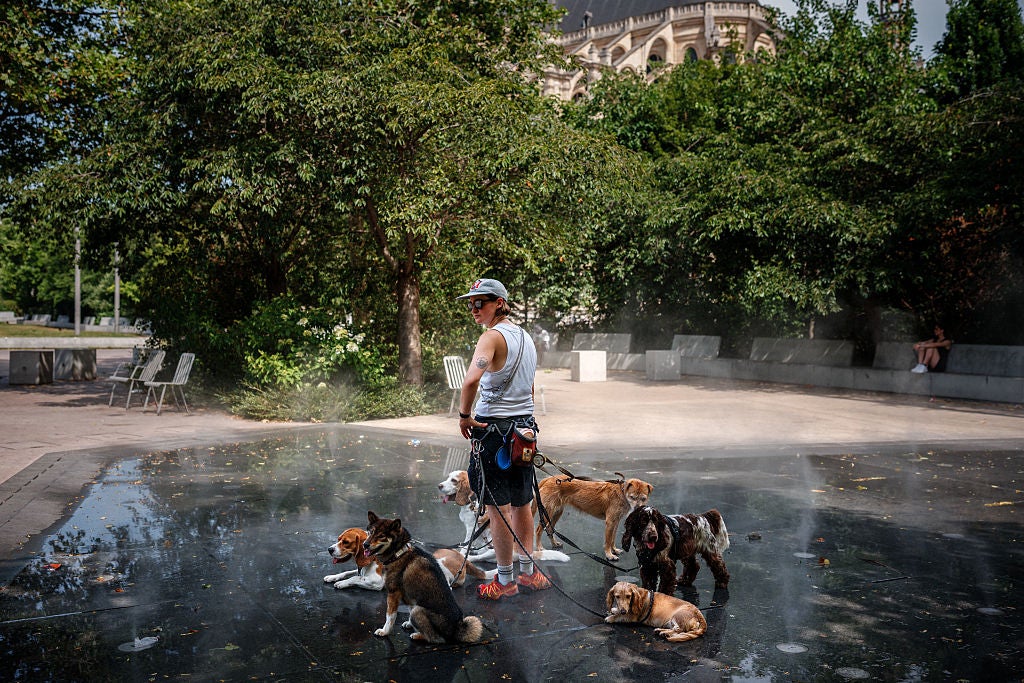 Scientists and other observers have become alarmed about the increasing frequency of extreme heat paired with high humidity, measured as “wet-bulb temperature”