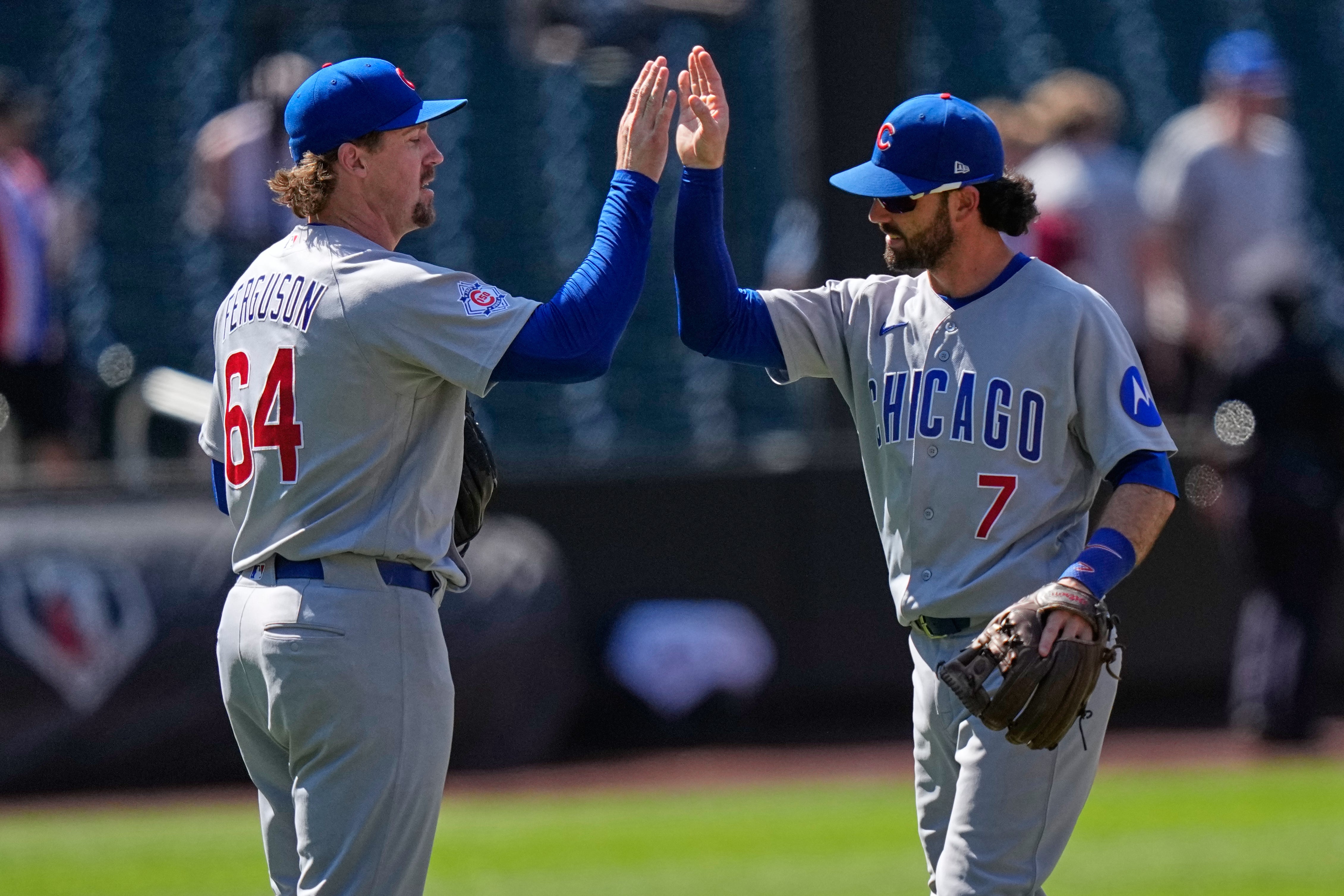 CACHORROS-METS