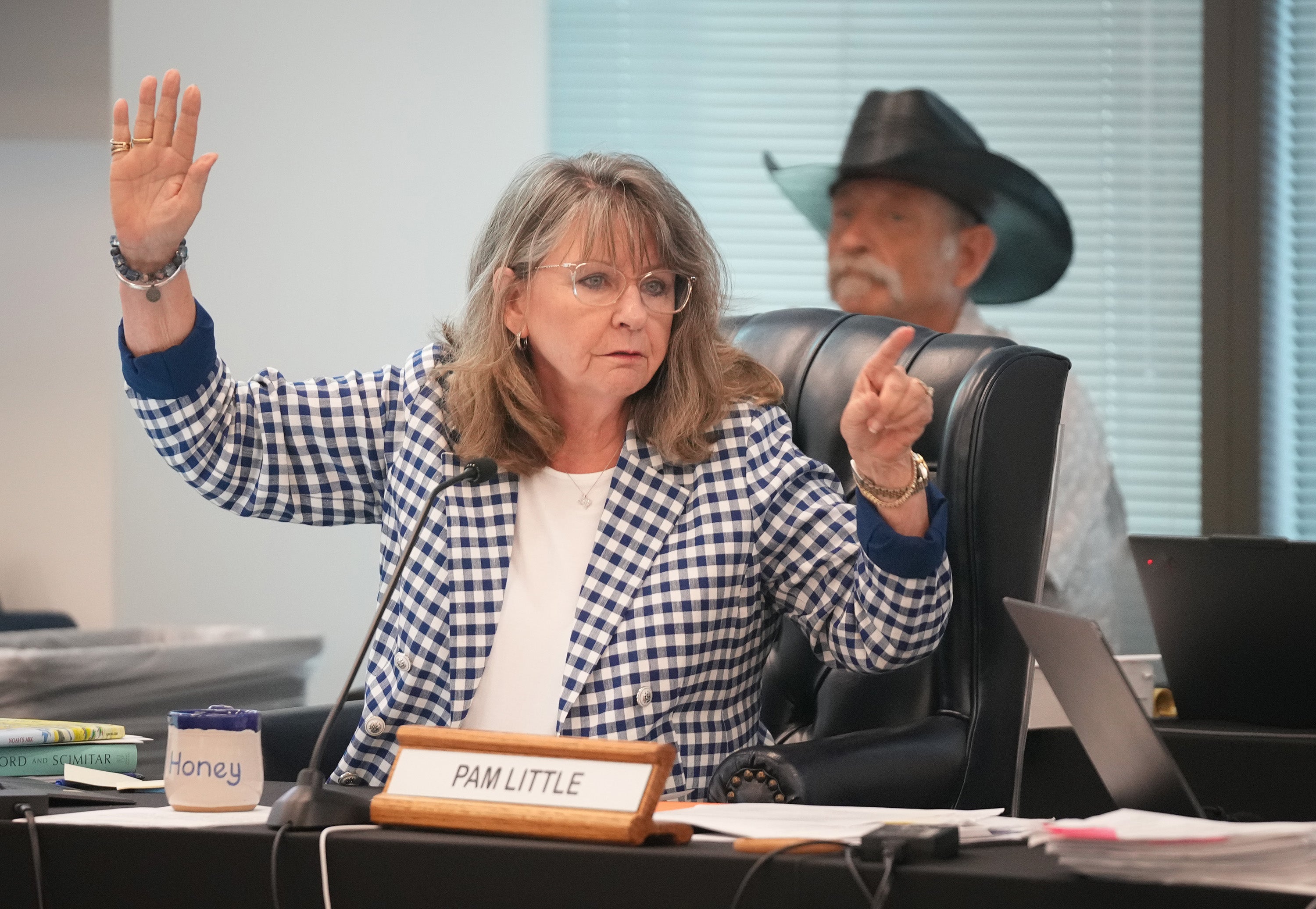 State Board of Education Vice Chair Pam Little votes on a proposed required reading list during a meeting on social studies standards