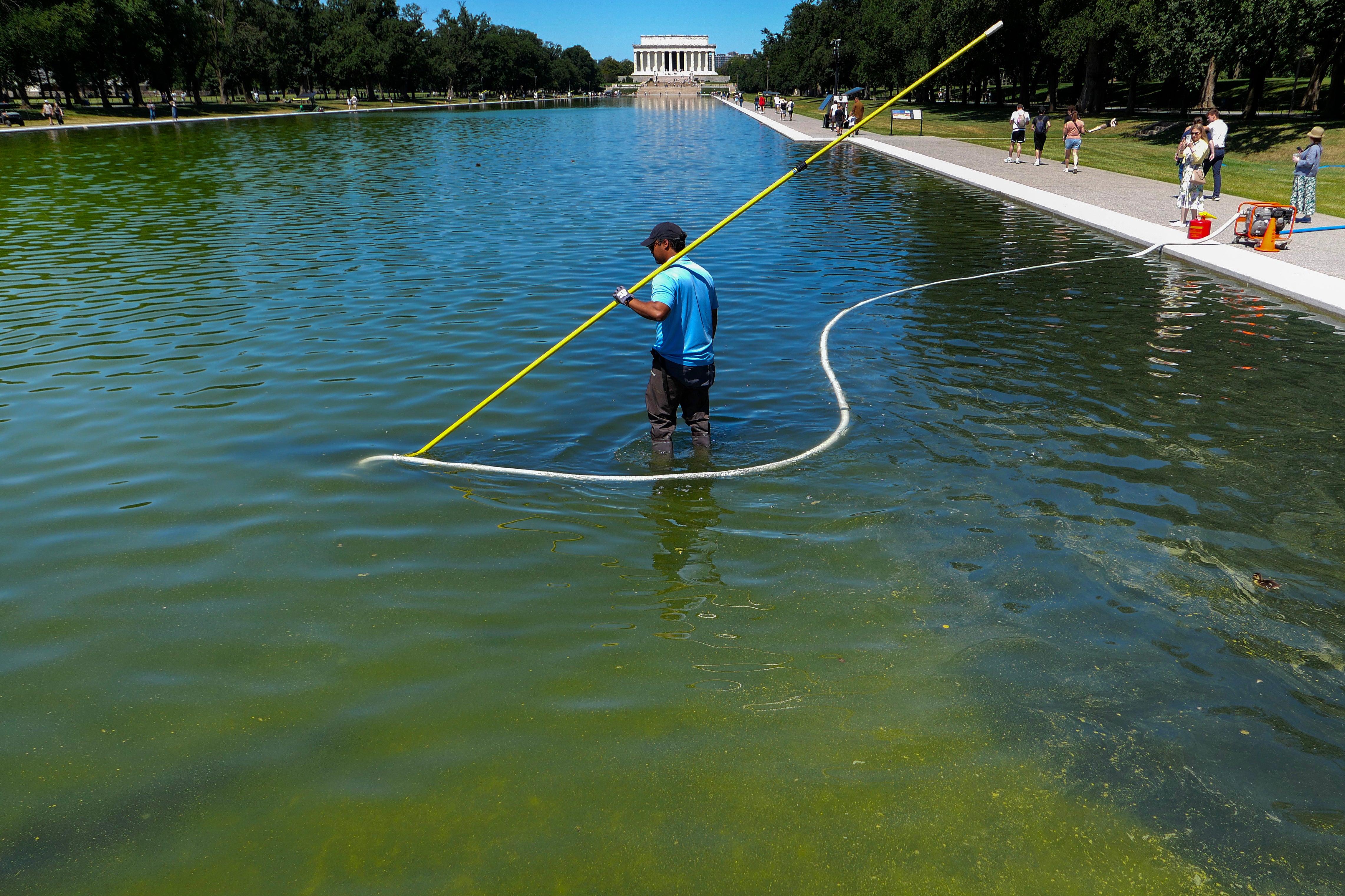 As soon as the pool was refilled in June, it turned green with algae and its liner came loose, with the president blaming Democrat-alligned vandals, not his contractors (Getty)