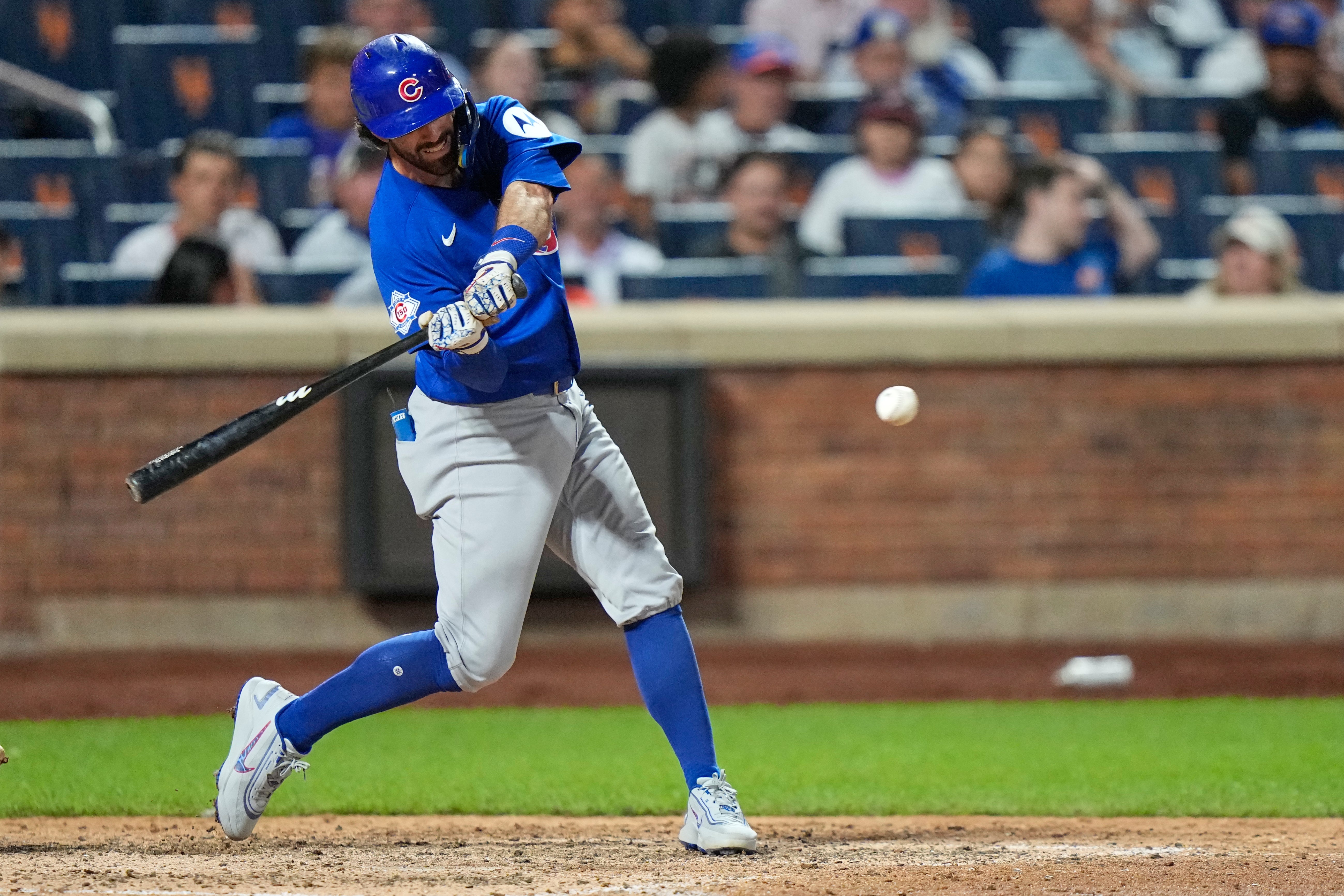 CACHORROS-METS