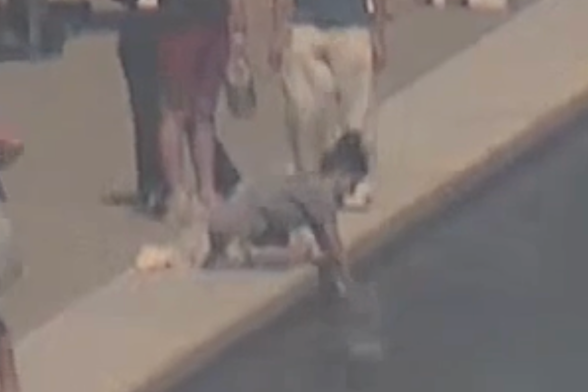 Footage of person wanted after Lincoln Memorial Reflecting Pool ‘destruction’ released by Park Police – UK Times Footage of person wanted after Lincoln Memorial Reflecting Pool ‘destruction’ released by Park Police – UK Times