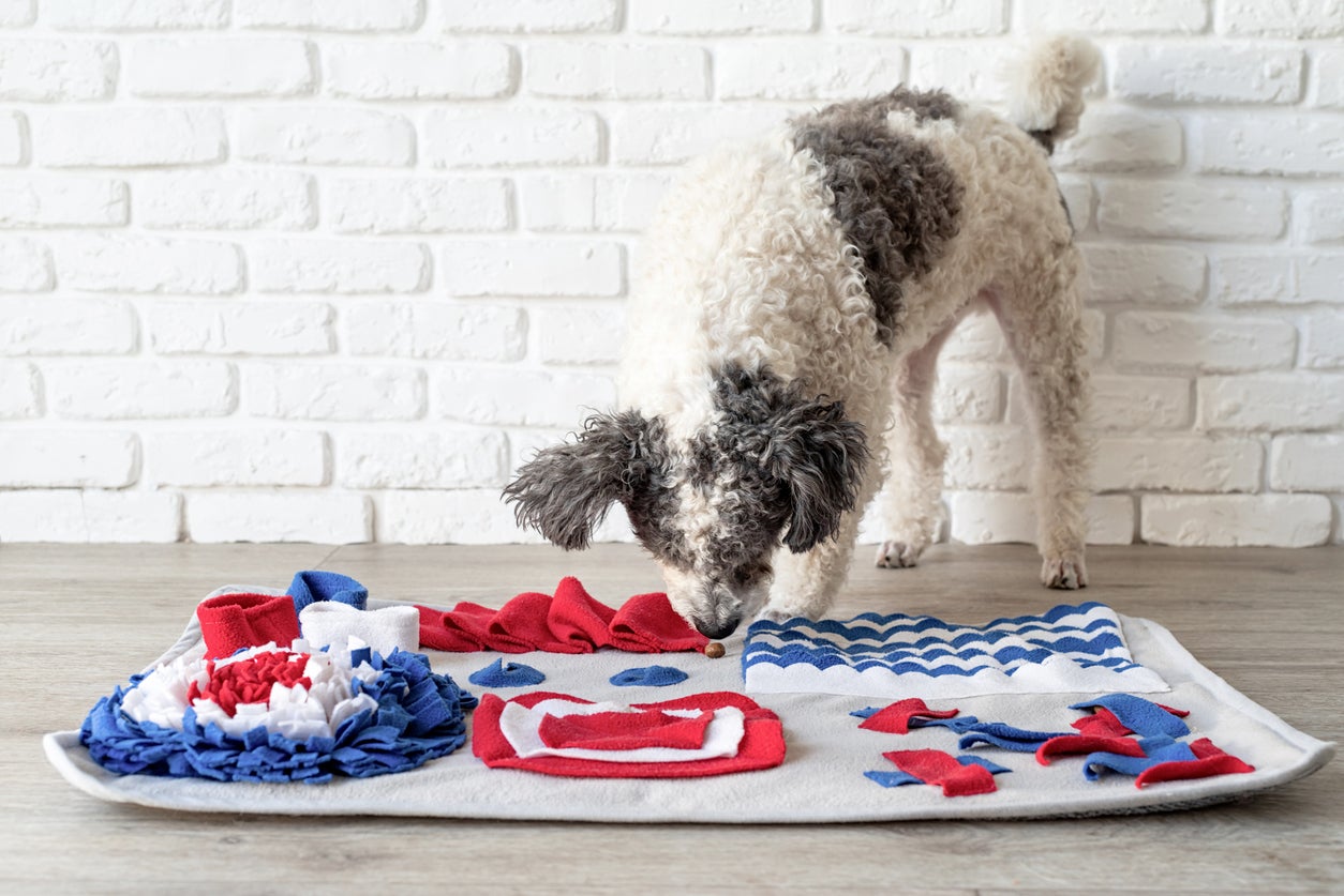 Food hidden in material mats can be a great supervised indoor activity