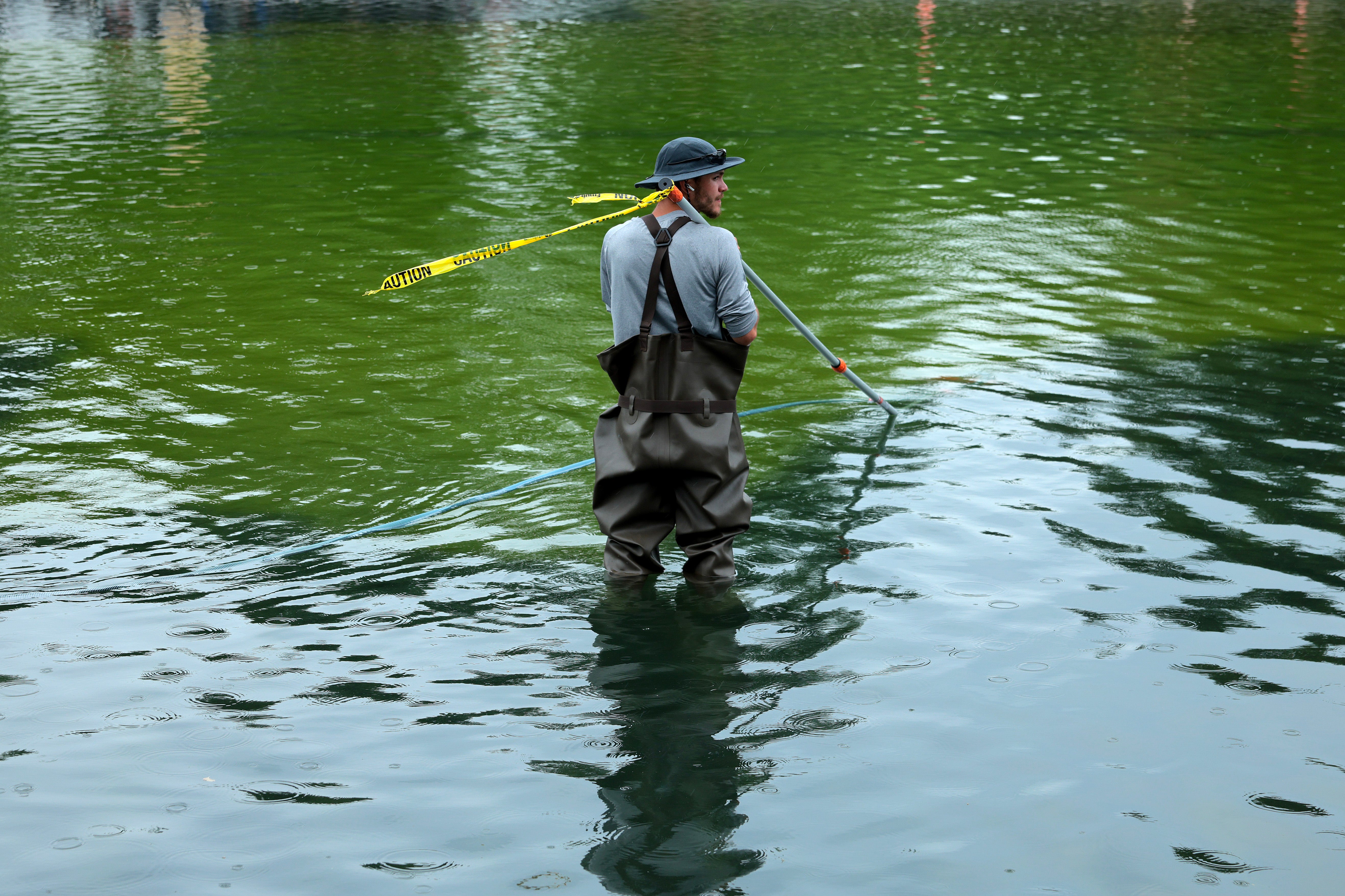 The Lincoln Memorial Reflecting Pool has become a fixation for the president, who has reportedly spent more than $16 million trying to renovate the historic landmark - only for algae to become a persistent problem