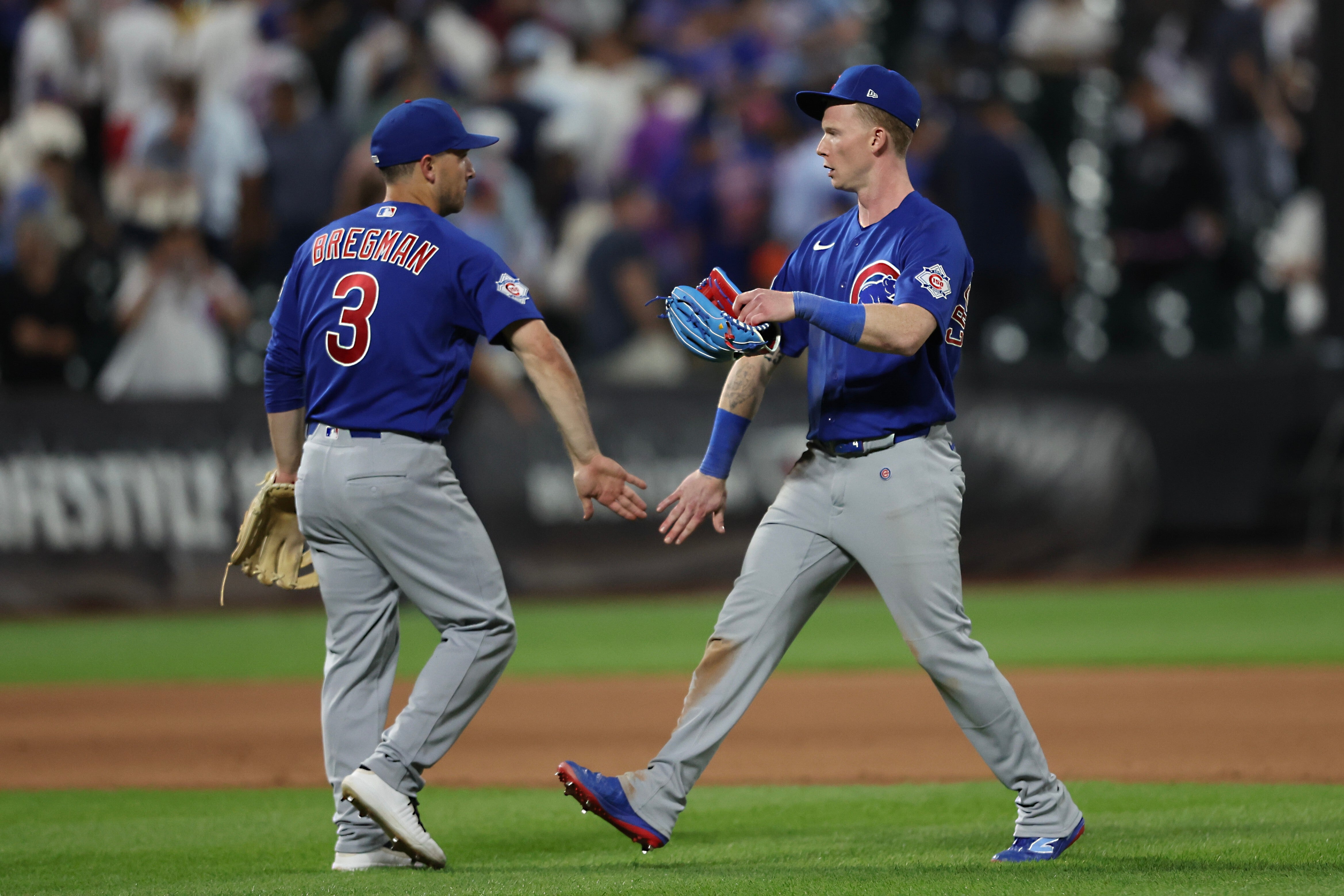 CACHORROS-METS