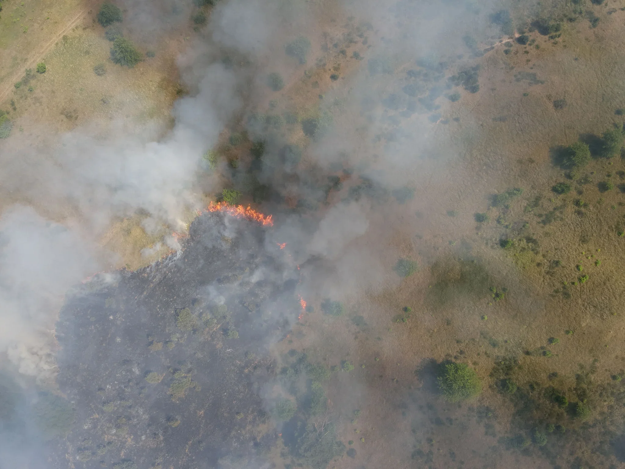 Blaze tears through former Soviet tank range in Germany – and it can’t be put out