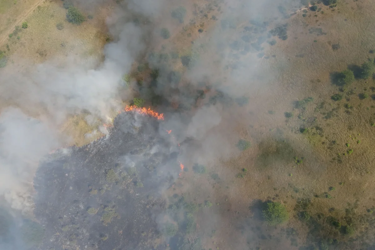 Fire rips through ex-tank range in German heatwave - but can’t be put out due to unexploded bombs