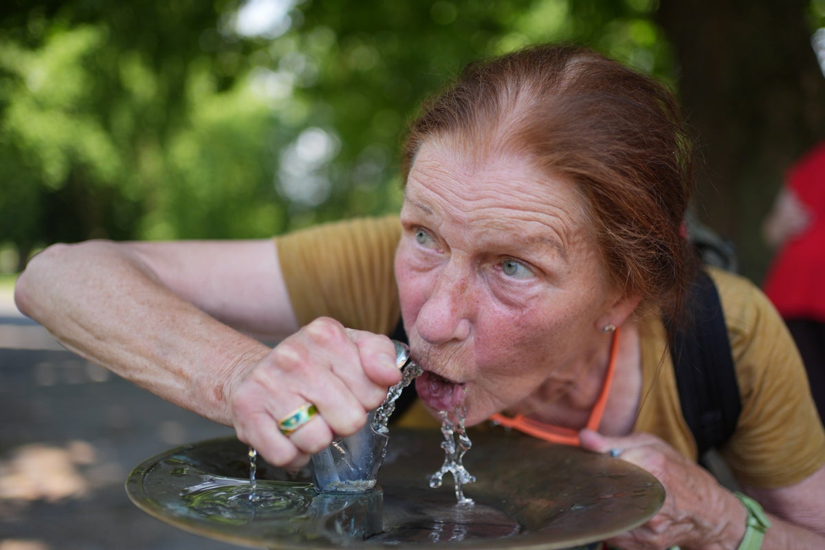 Over 1,300 excess deaths linked to Europe heatwave, WHO says – UK Times Over 1,300 excess deaths linked to Europe heatwave, WHO says – UK Times