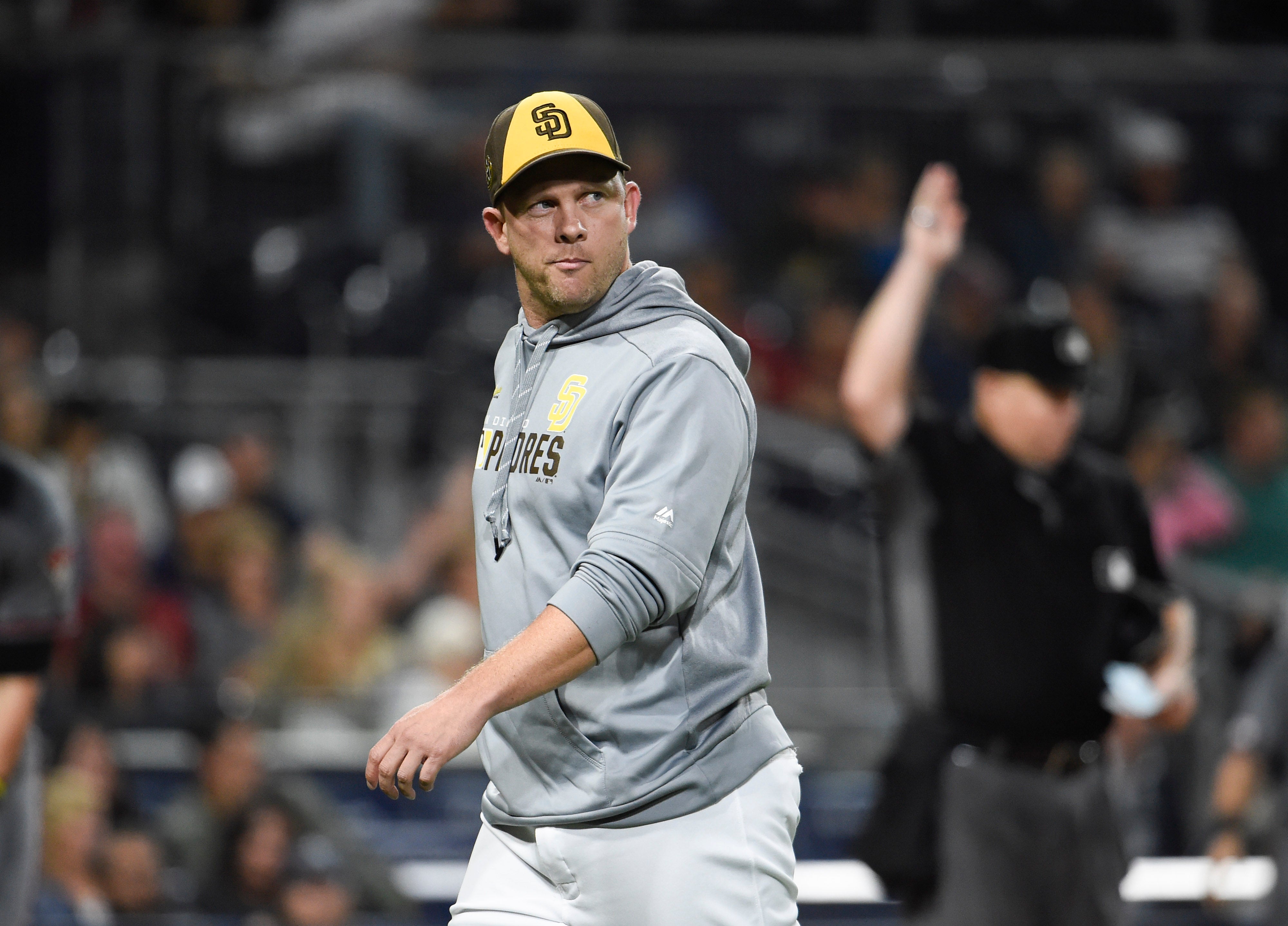 Mendoza has been replaced by Andy Green