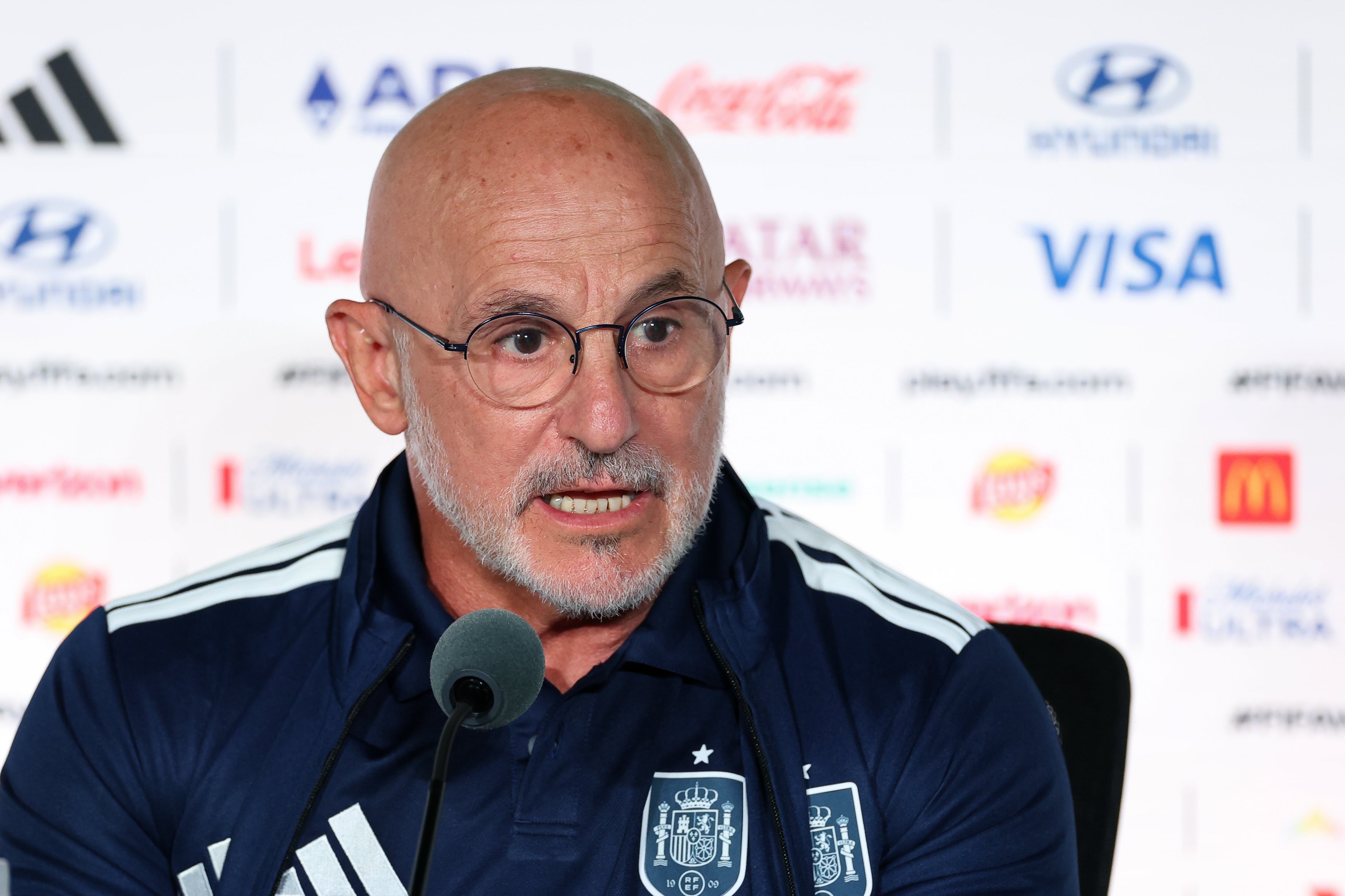 Spain boss Luis de la Fuente (Getty)