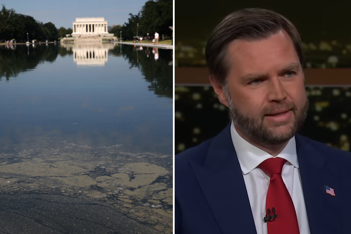 Bill Maher blasts Trump’s Reflecting Pool disaster before excoriating show guest JD Vance – UK Times Bill Maher blasts Trump’s Reflecting Pool disaster before excoriating show guest JD Vance – UK Times