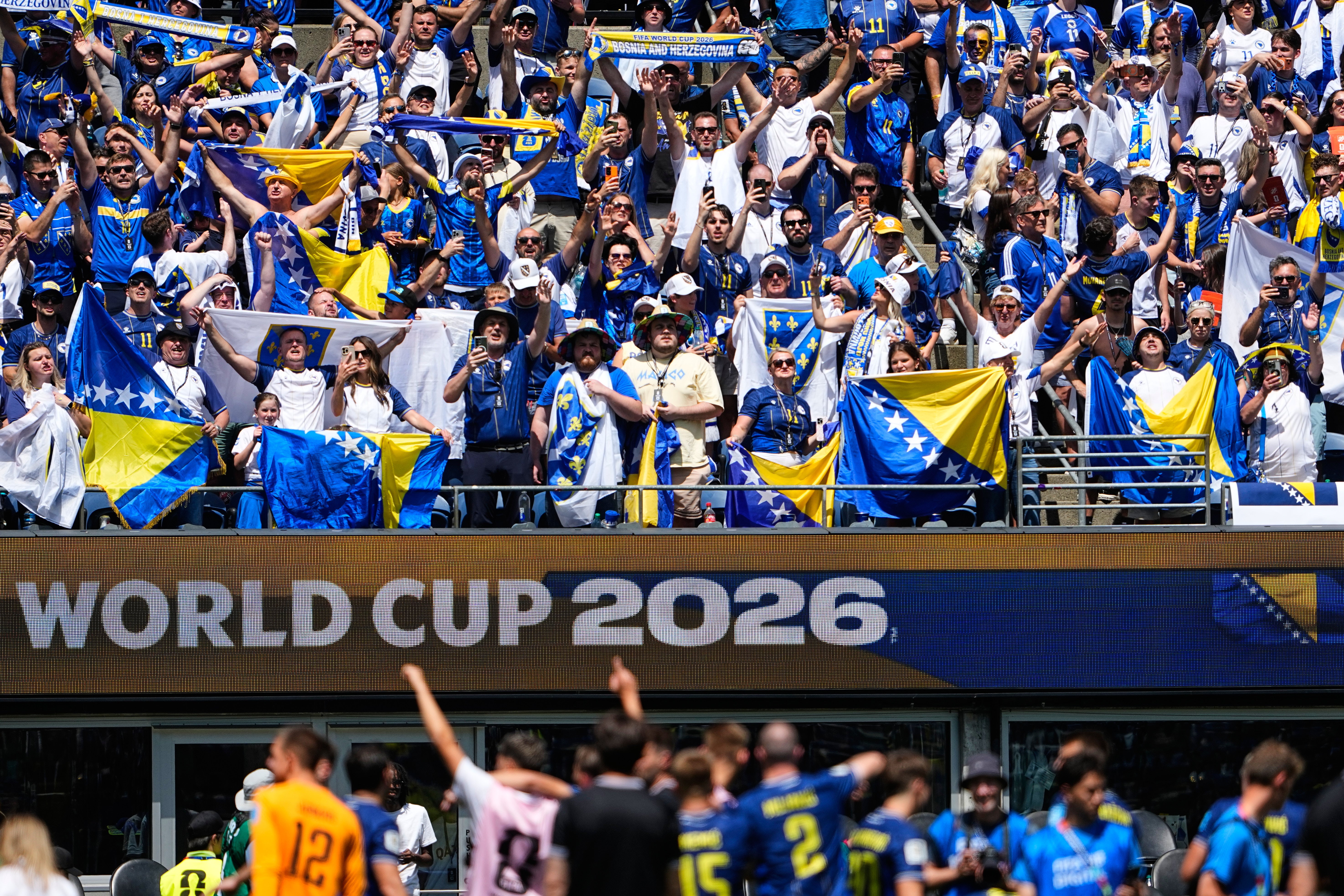 グループB最終戦でカタールに3-1で勝利し、ボスニアファンが歓声を上げる
