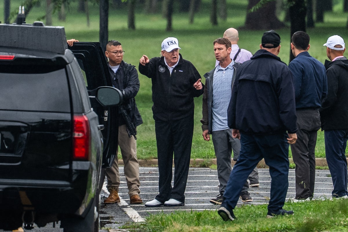 Trump rejoices that the ‘reflecting pool is now in full use’ as he goes on walkabout of DC projects