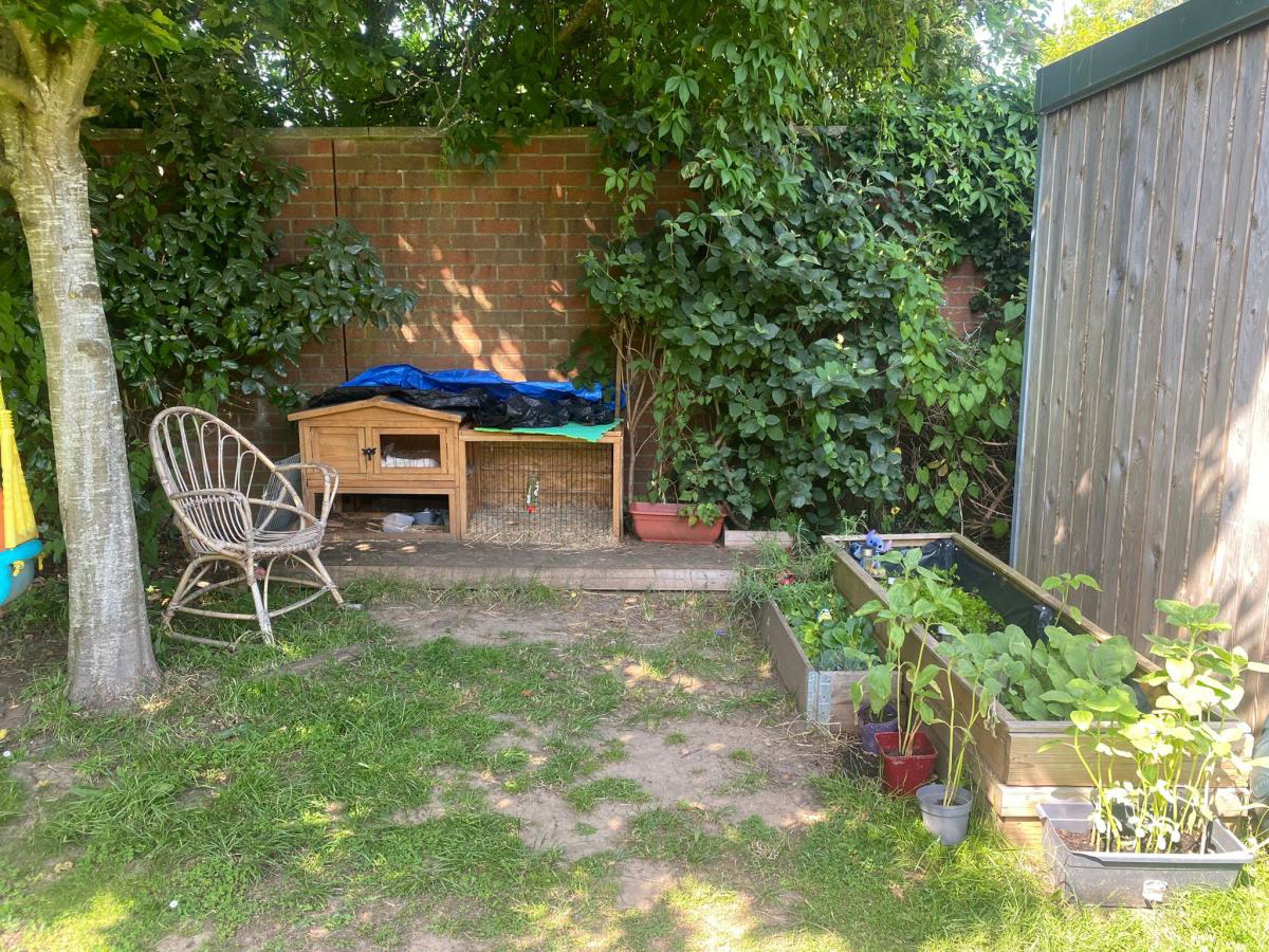 Storm Tapp-Grant has to remove Nibbles and the raised garden beds from the communal space
