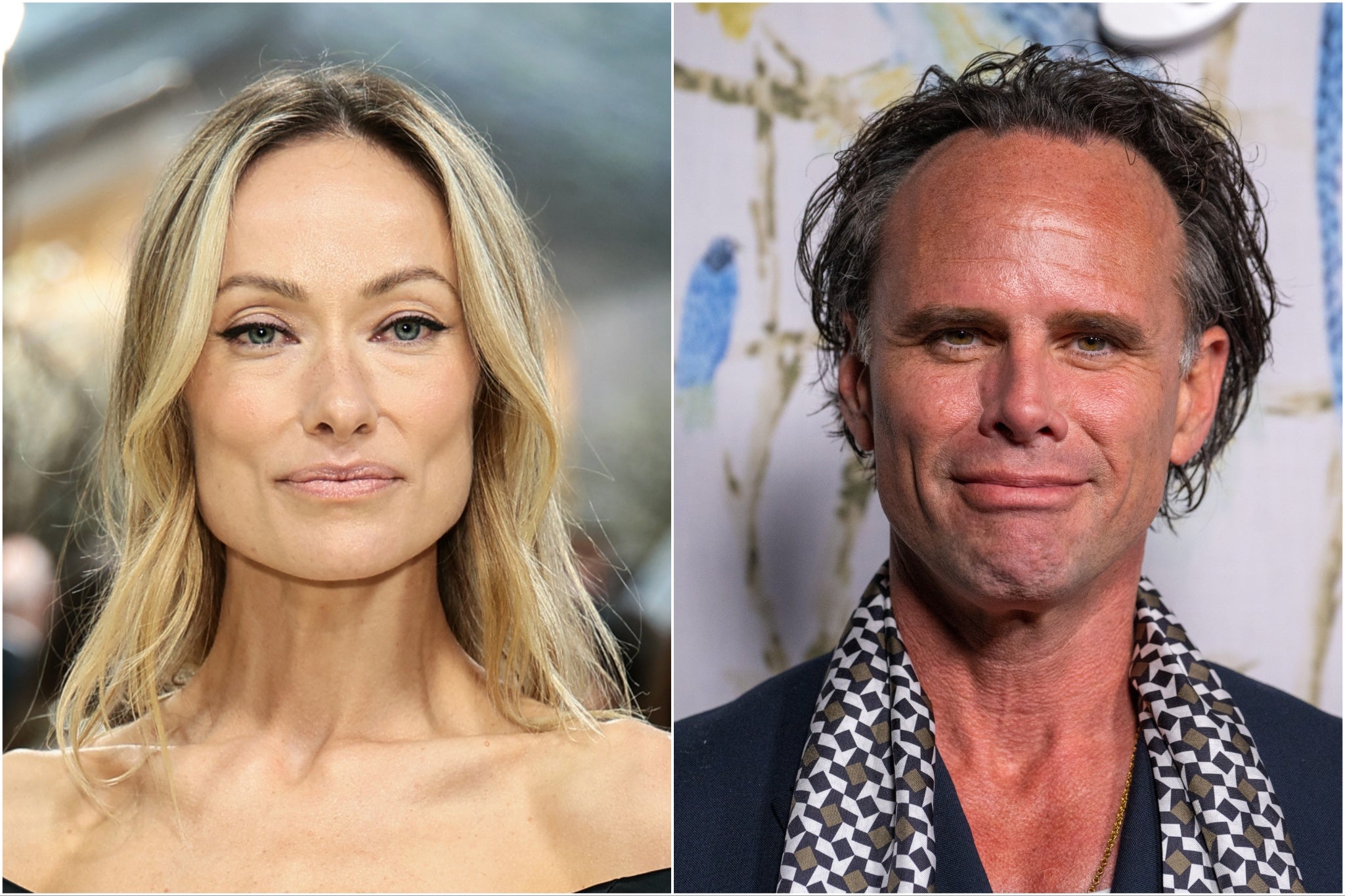 Olivia Wilde enthüllte, dass Walton Goggins ihr einmal das Leben gerettet hatte, nachdem sie während der Dreharbeiten mit dem Paar vom Pferd gefallen war