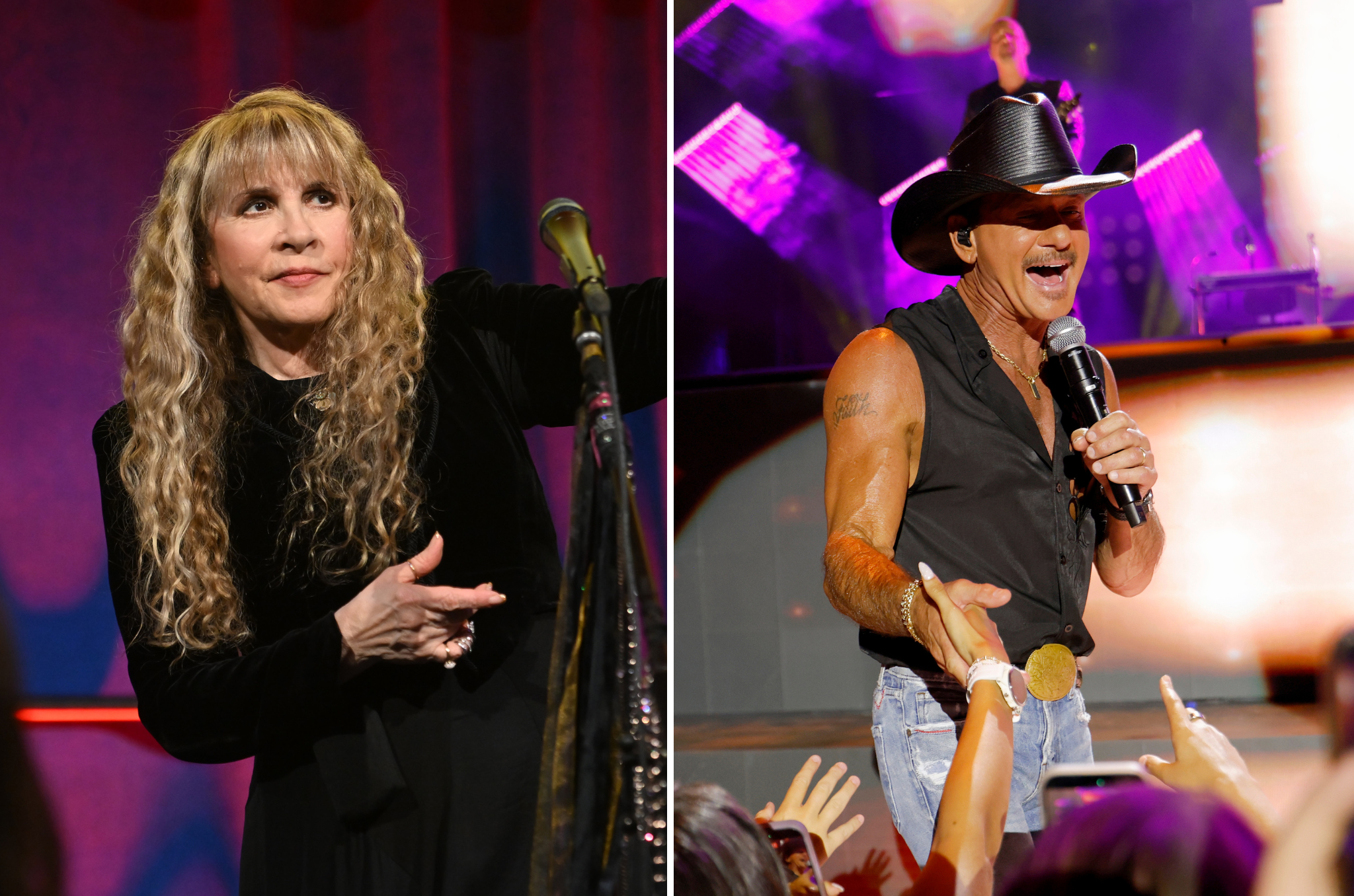 Stevie Nicks and Tim McGraw are rumored to perform at Swift and Kelce's wedding (Getty)