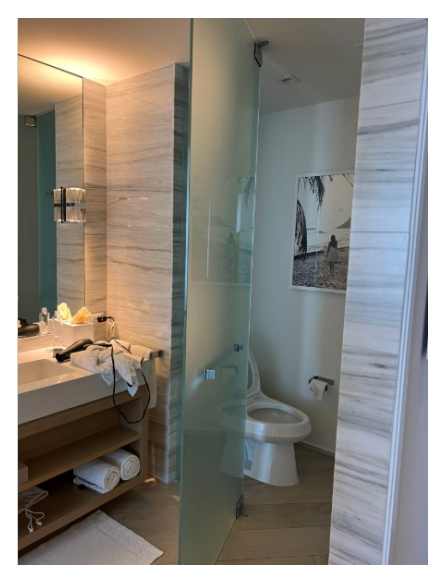 Arthur Elk says in a federal lawsuit that the W South Beach should have known the glass door separating the toilet from the sink area in his room did not close properly (U.S. District Court for the Southern District of Florida)