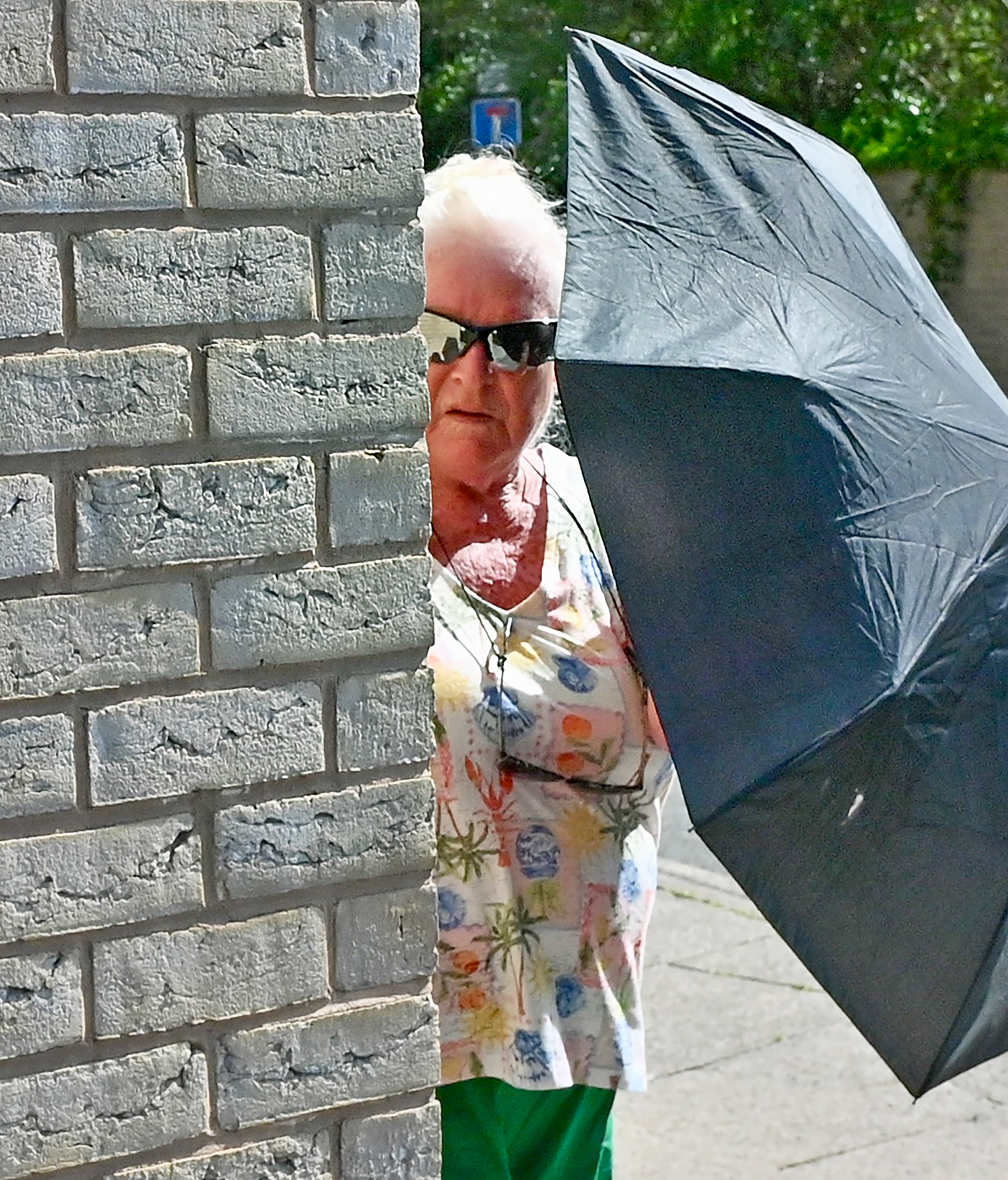 ‘Neighbour from hell’ Zoi Hayes given restraining order for disrupting Peter and Corrine Rotherham’s party with lawnmower