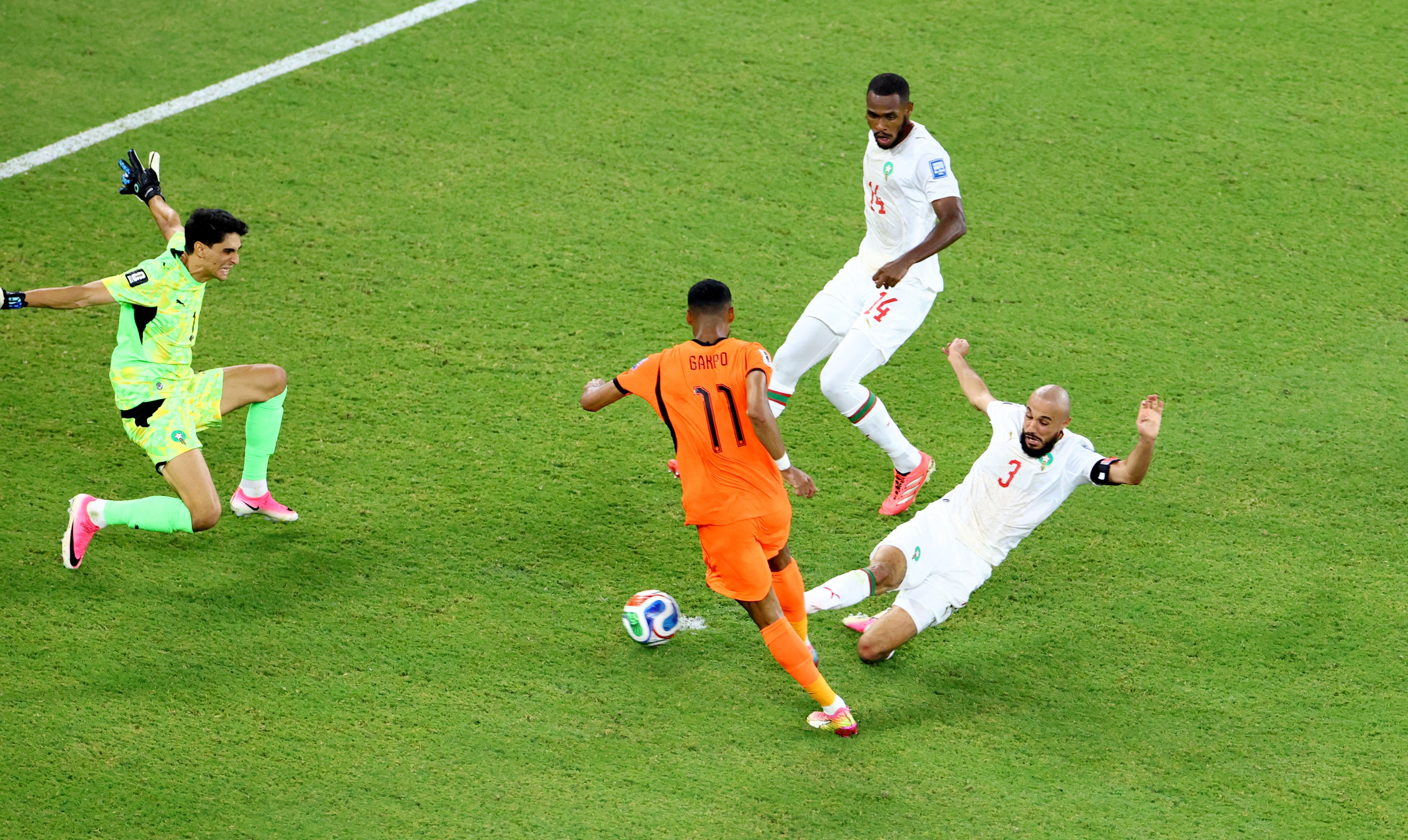 Gakpo struck home the opener for the Netherlands