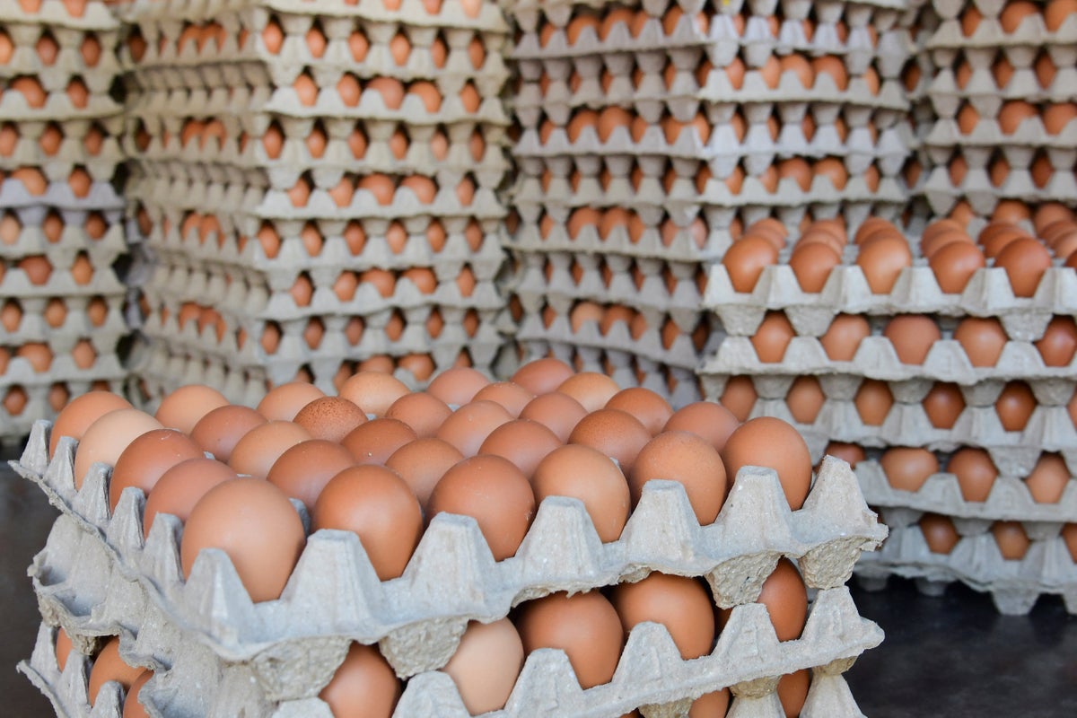 Trump administration sues egg producers over alleged price fixing