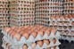 FDA upgrades recall of 19 million eggs to ‘most urgent’ and warns about fatal risk from salmonella outbreak