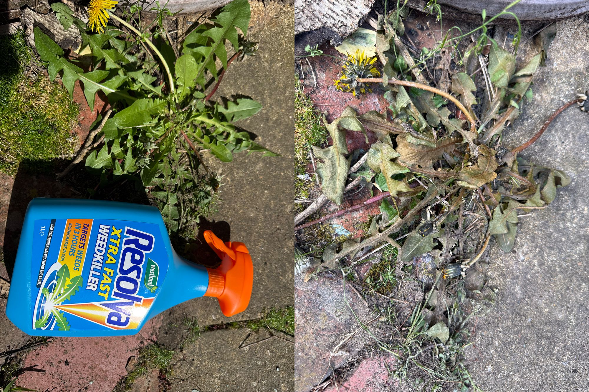 Before and after using the Resolva xtra fast (Zoe Phillimore/The Independent)