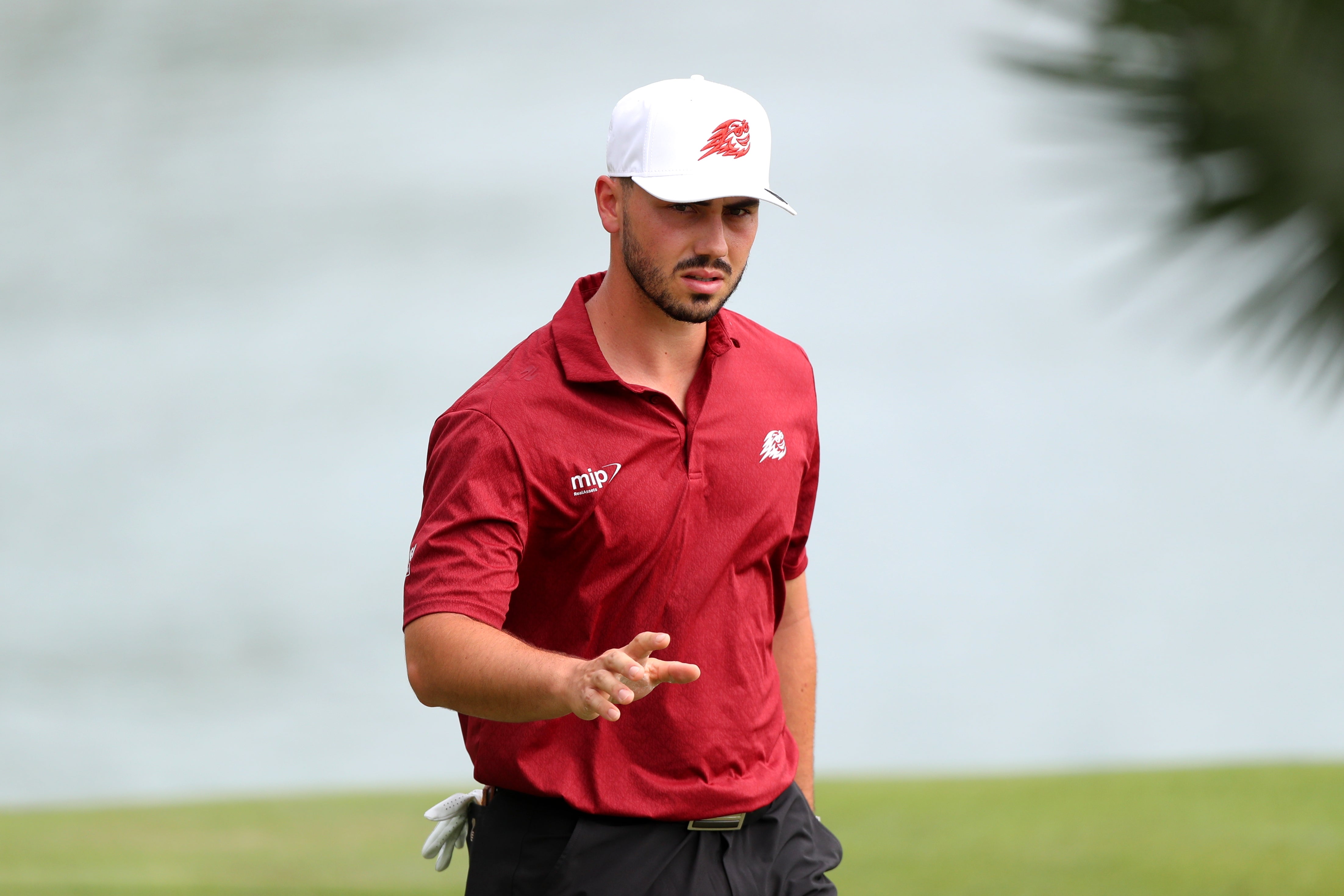 Josele Ballester has qualified for the Open at Birkdale (Getty)