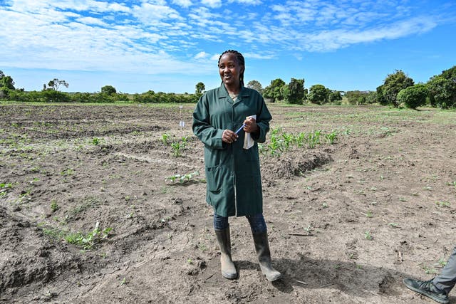Farmer Abigael Pertet working with the Mara Elephant Project in Kenya
