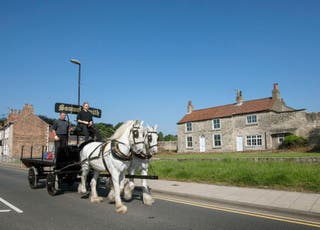 Horse-drawn beer deliveries are still a familiar sight in Tadcaster