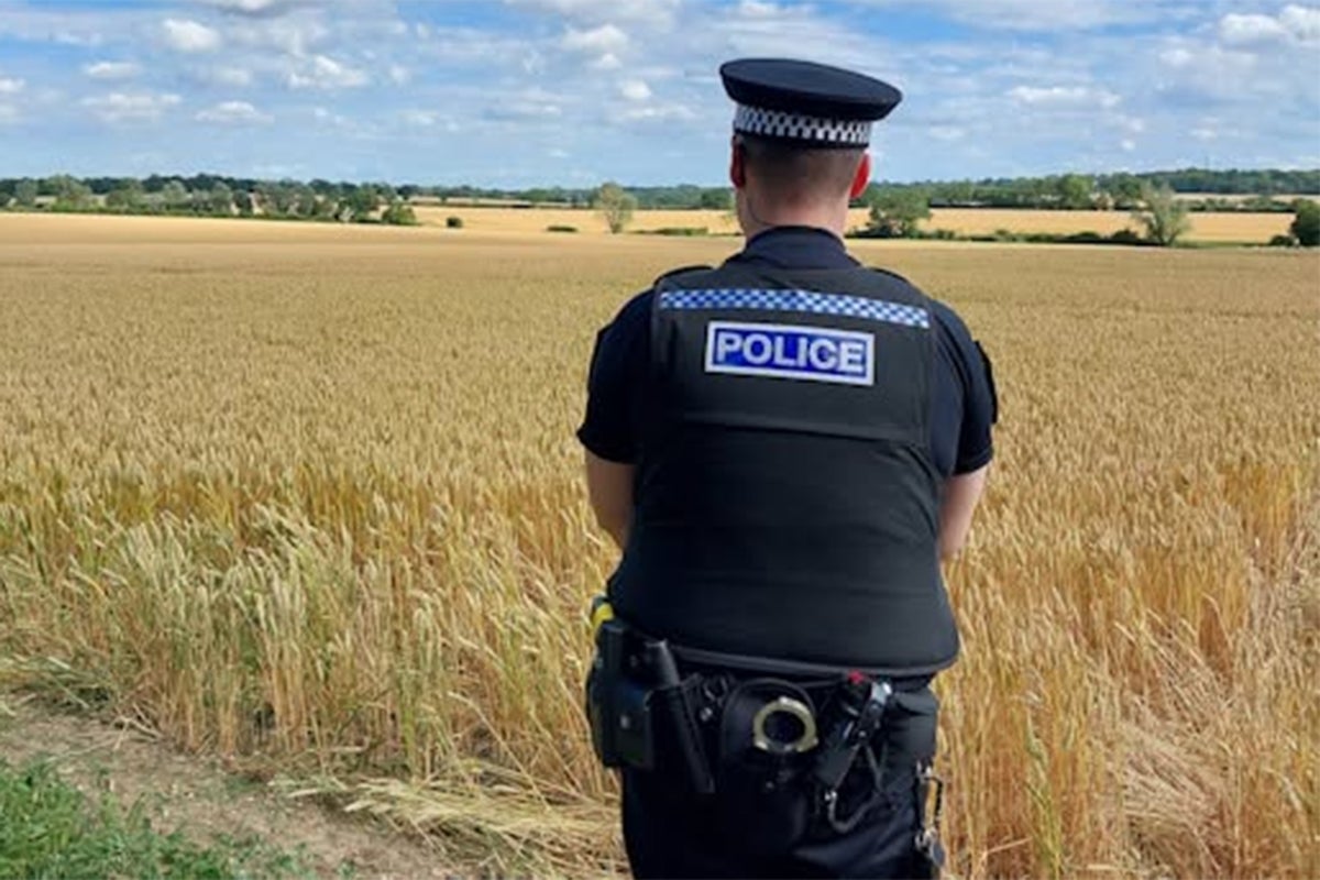Acidente de avião em Ongar: dois mortos após queda de avião leve em campo em Essex Acidente de avião em Ongar: dois mortos após queda de avião leve em campo em Essex