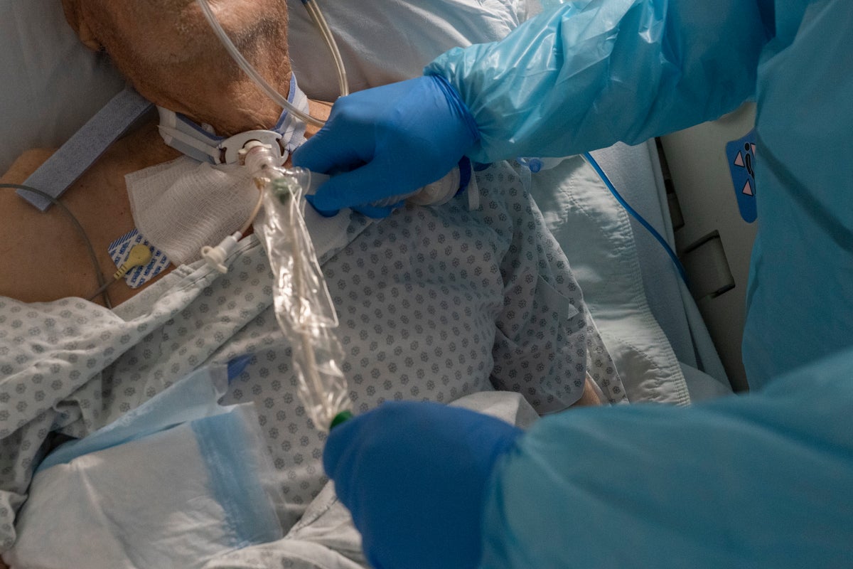 Life-threatening fungal infection that can live on surfaces for weeks is rising in the US – UK Times Life-threatening fungal infection that can live on surfaces for weeks is rising in the US – UK Times