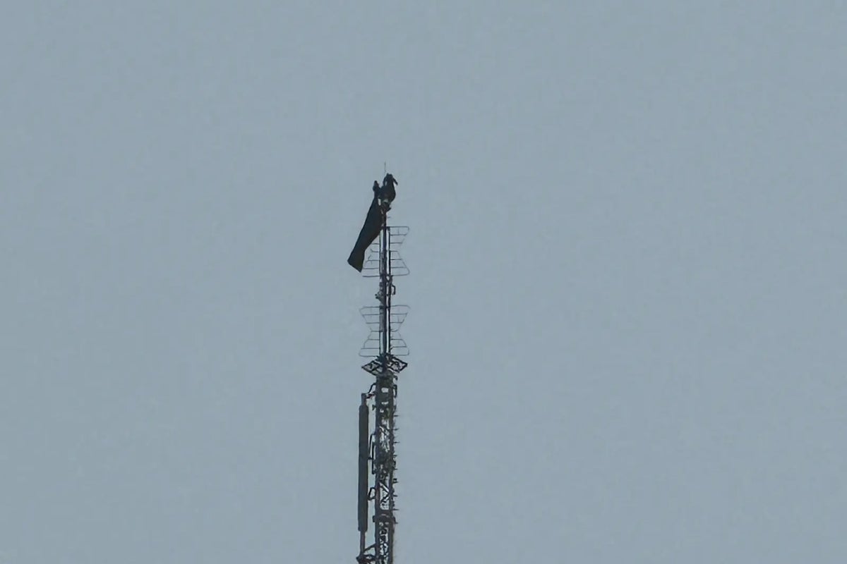Daredevil couple arrested after scaling Empire State Building to get engaged 1,450 feet in the air – UK Times Daredevil couple arrested after scaling Empire State Building to get engaged 1,450 feet in the air – UK Times