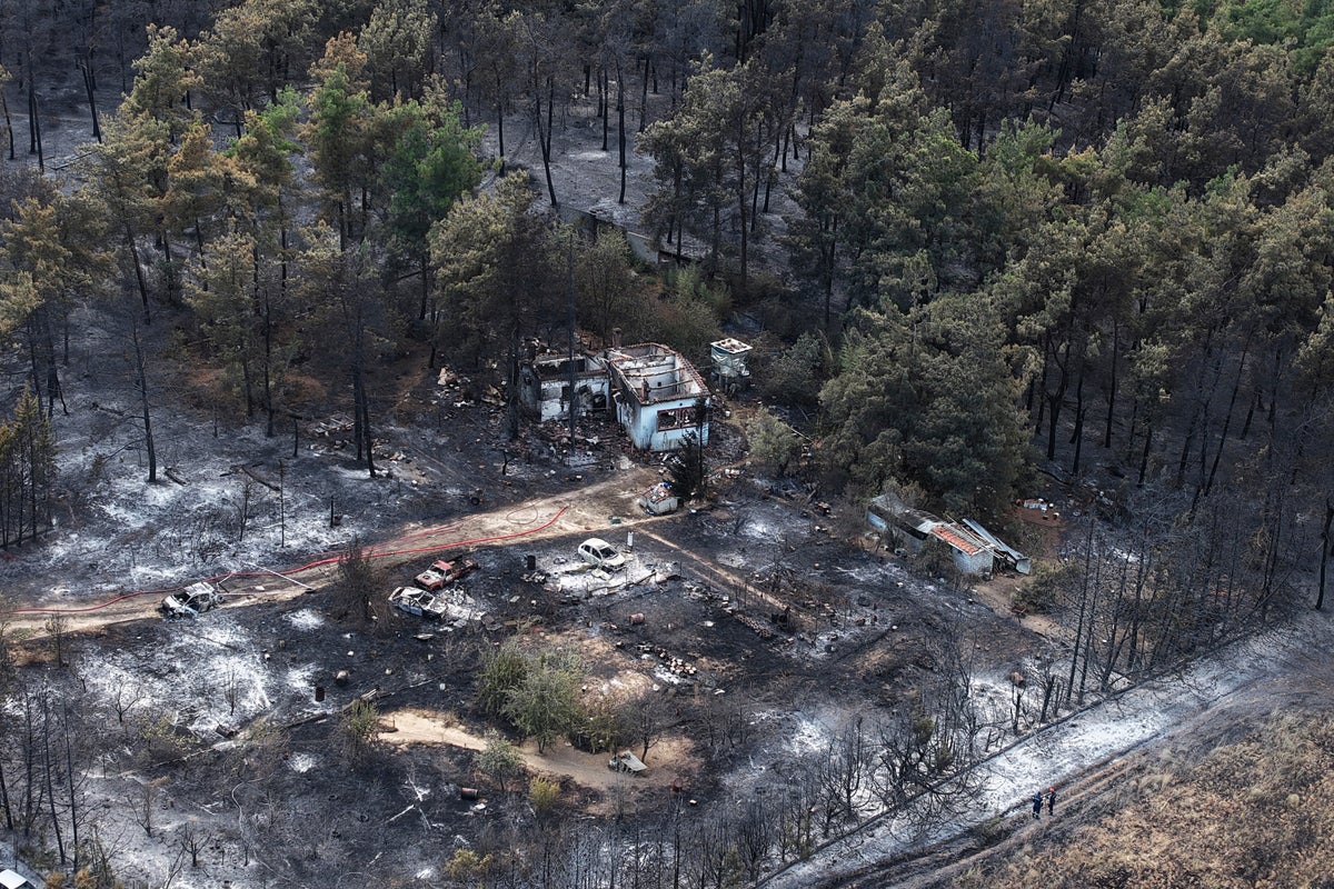 Wildfires kill a father and son in Greece and prompt evacuations in 2 villages – UK Times Wildfires kill a father and son in Greece and prompt evacuations in 2 villages – UK Times