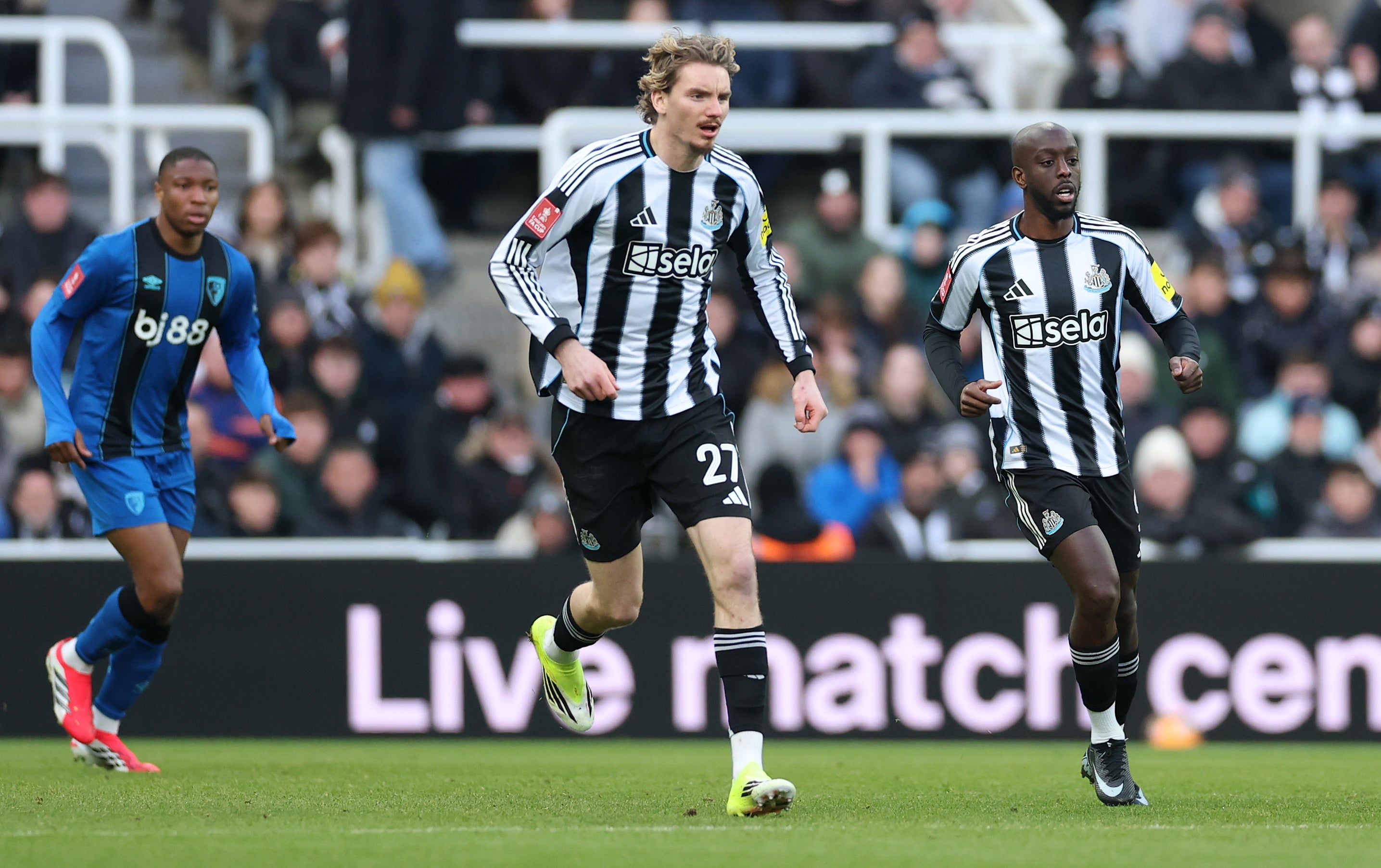 Newcastle's signings last summer failed to make the desired impact