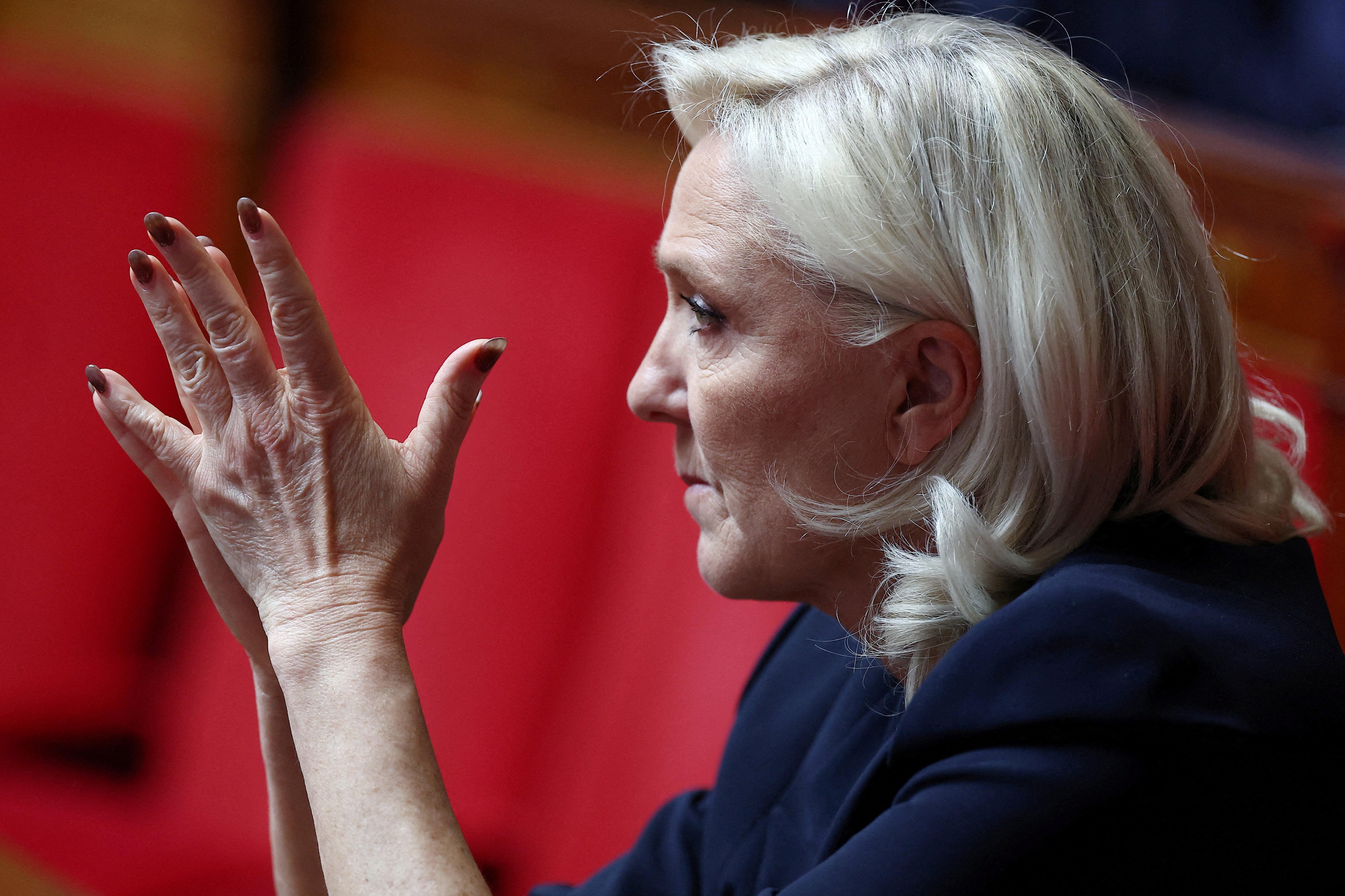 French far-right leader and member of parliament Marine Le Pen