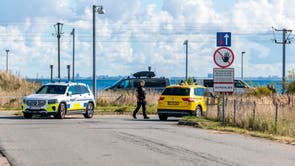 Billedet i artiklen