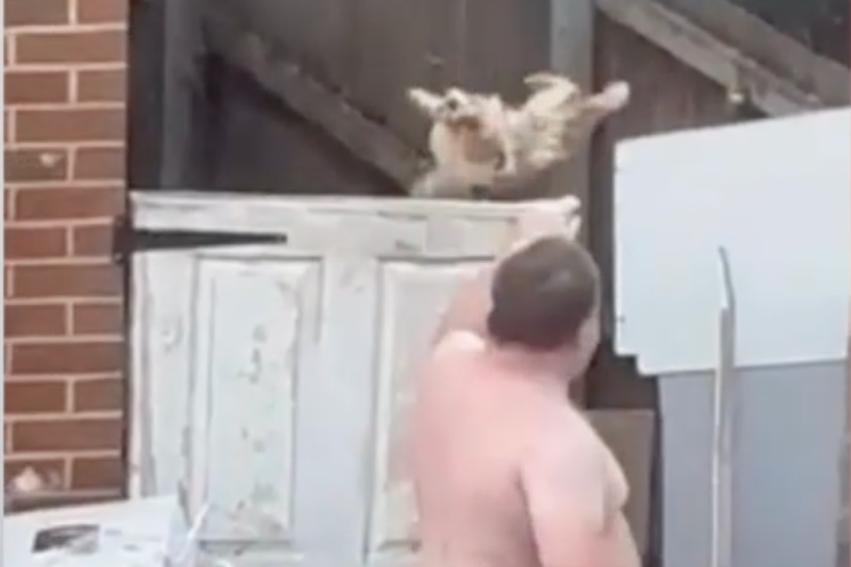 James Marchant: Homem proibido de criar animais pela RSPCA depois de ser filmado jogando um cachorro desnutrido em um portão de 6 pés em Bristol